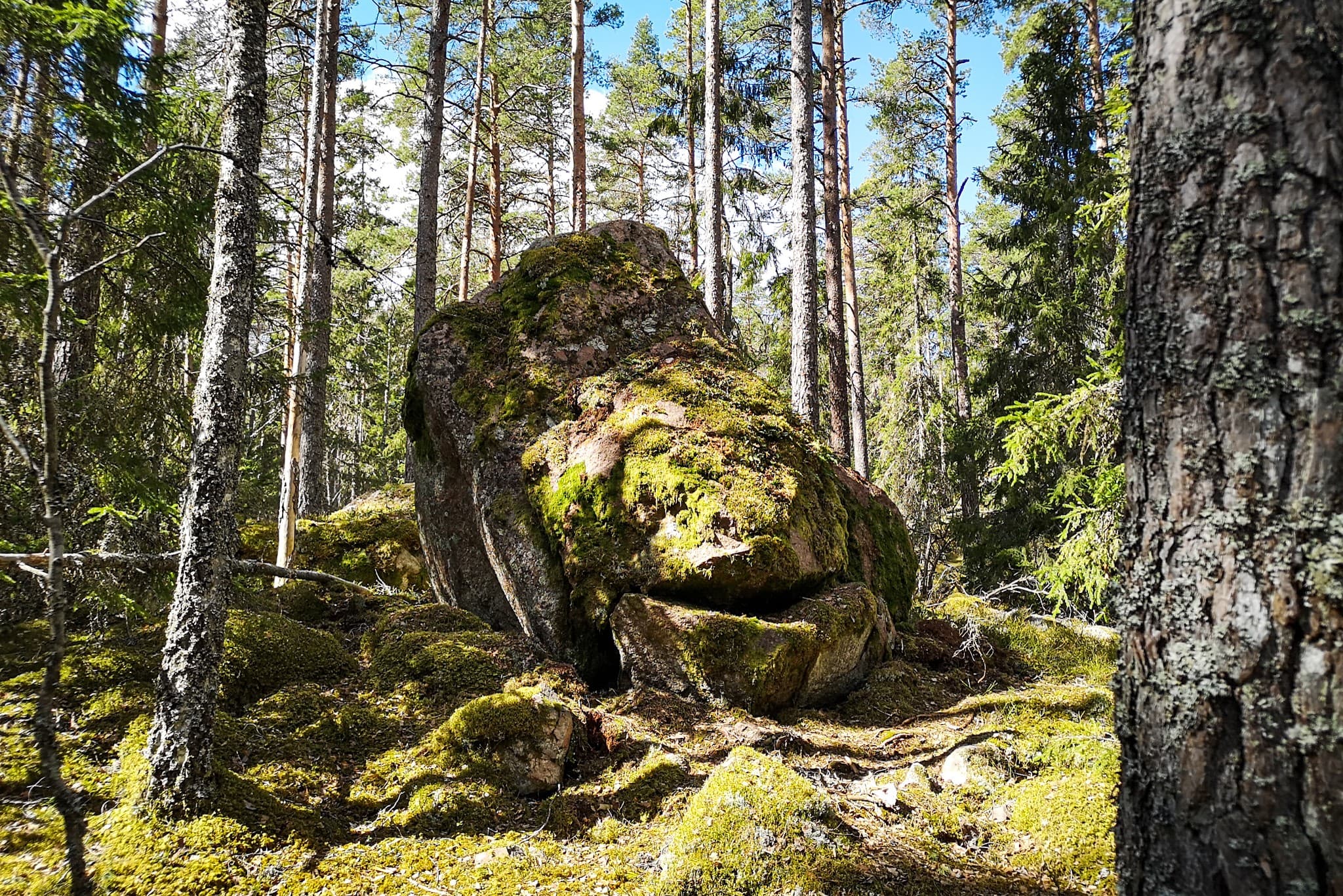 wp-16775934665085816077592760295430