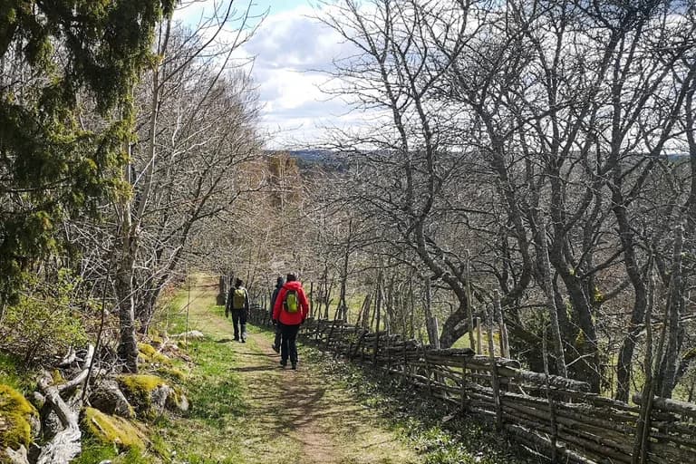 wp-1677593466309494505385656050596