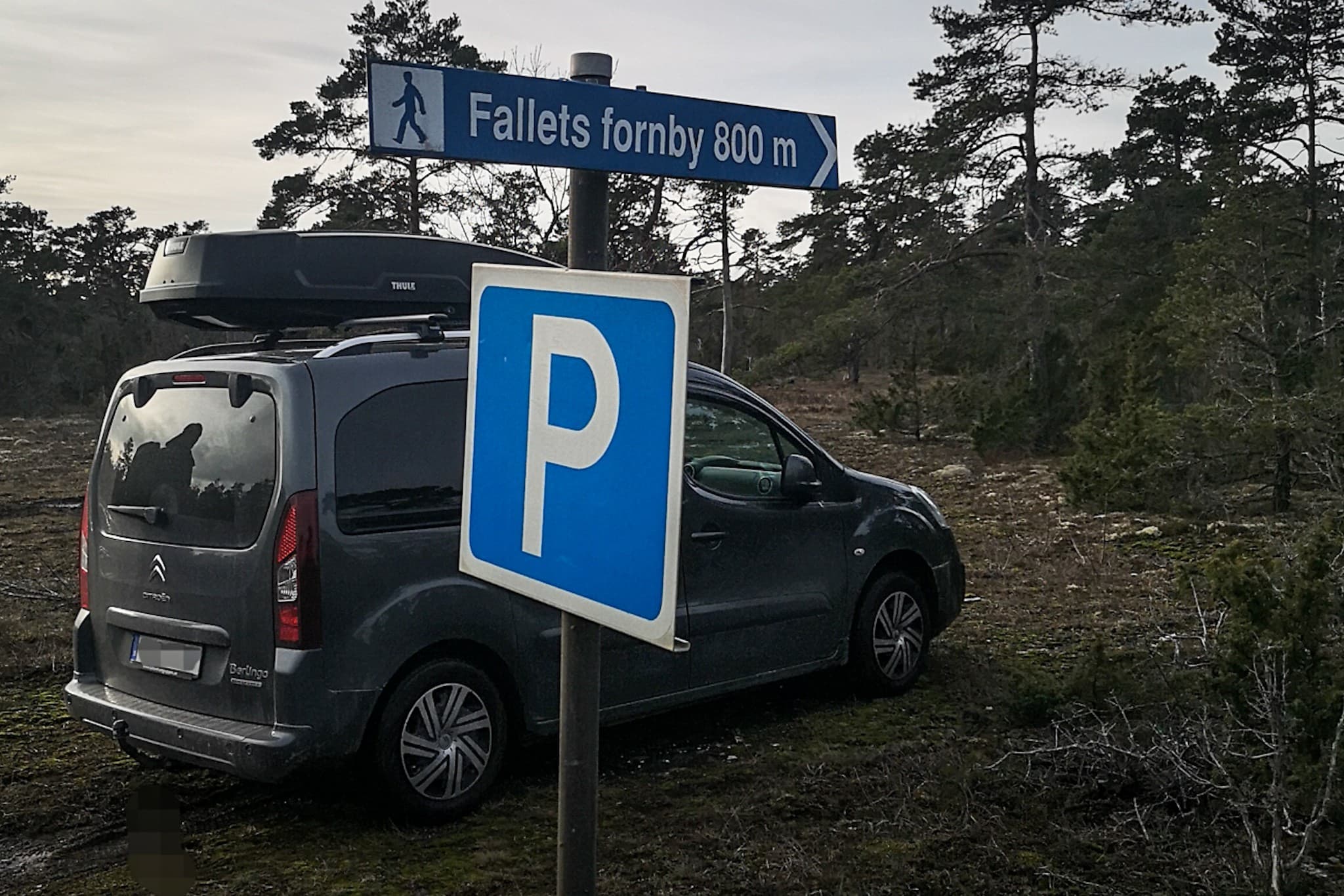 wp-16776118691821174555047705236756