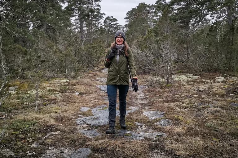 wp-16776118688023048862741463174735