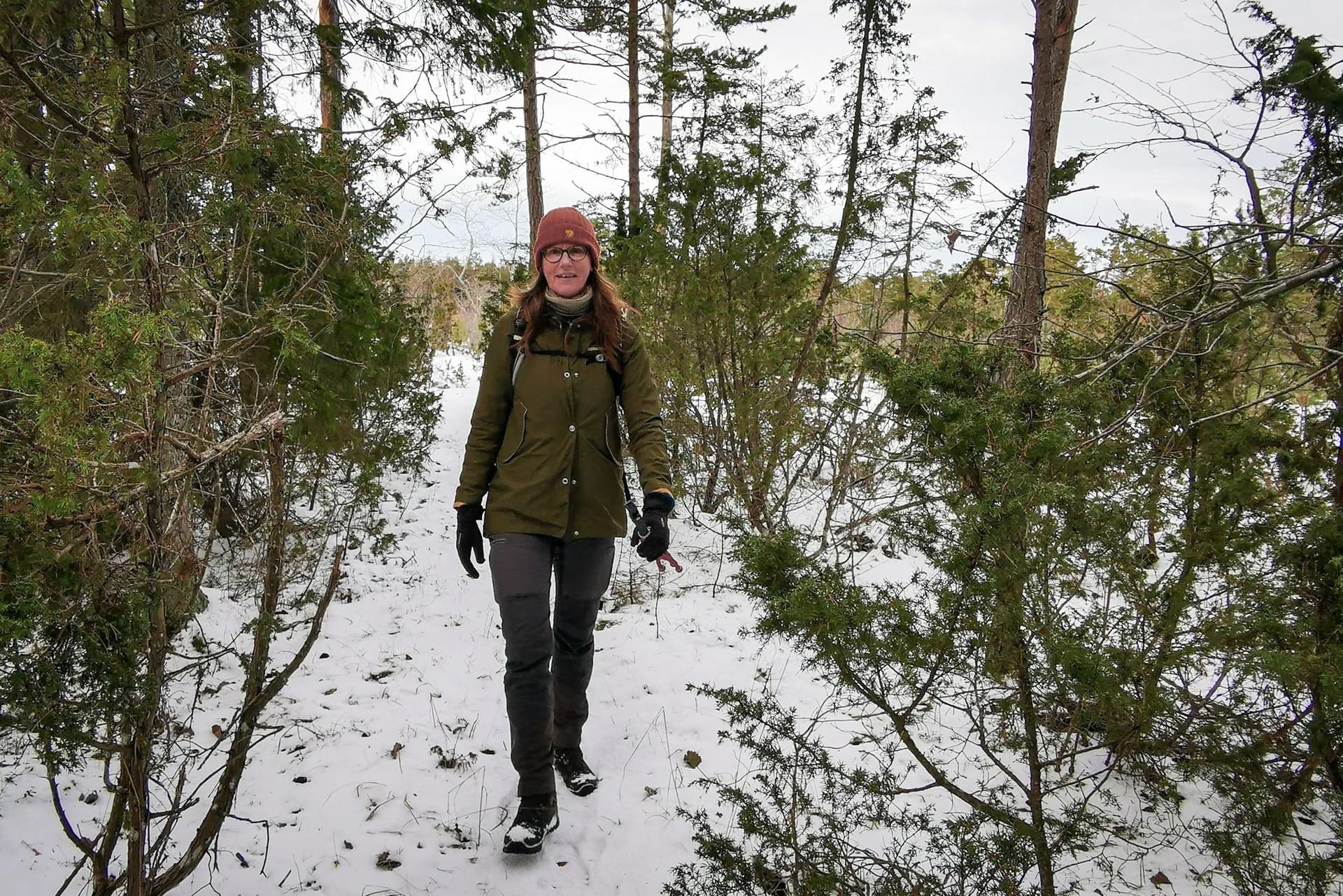 wp-16781996717974204693591244927960