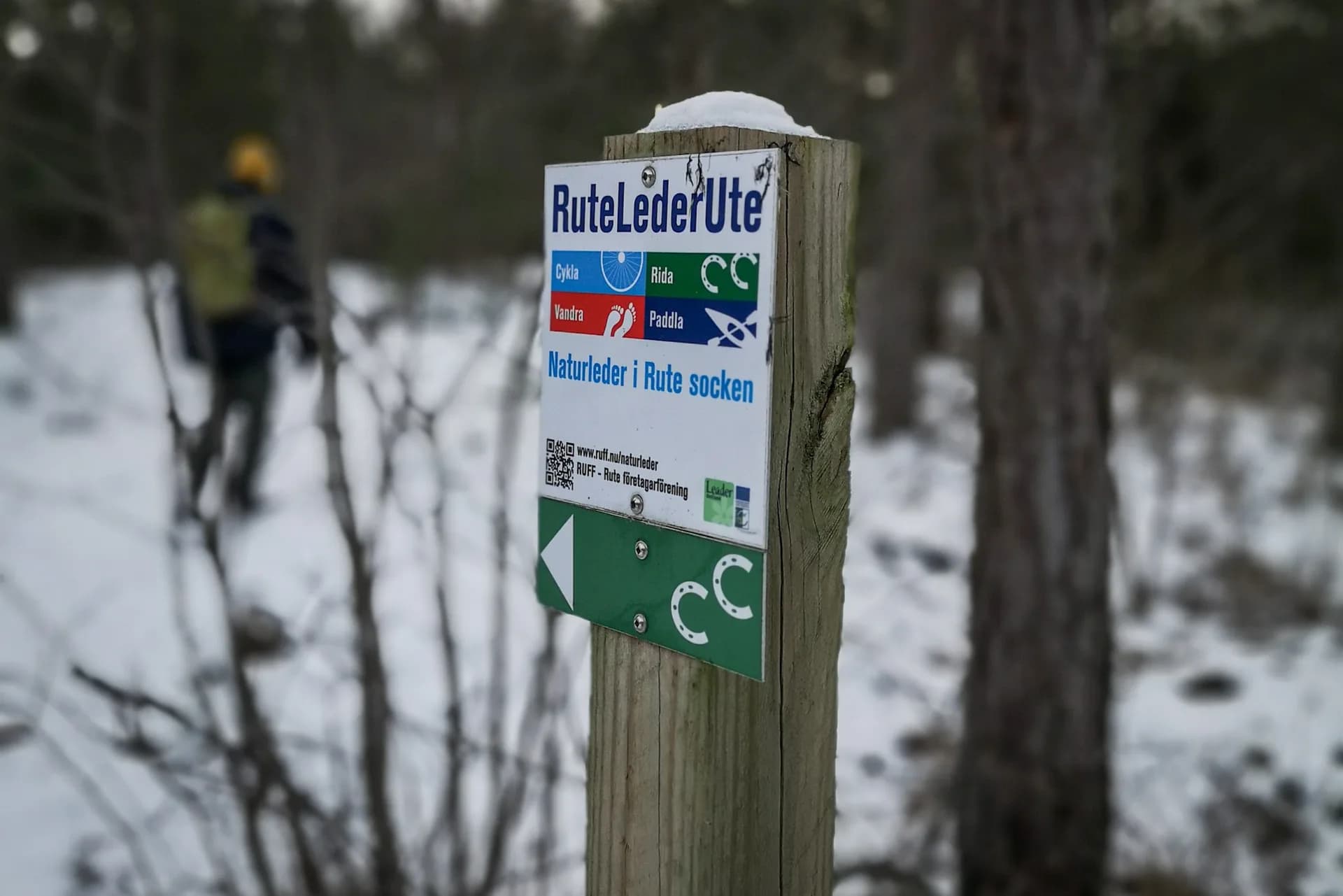 wp-16781998811981044672570702913543