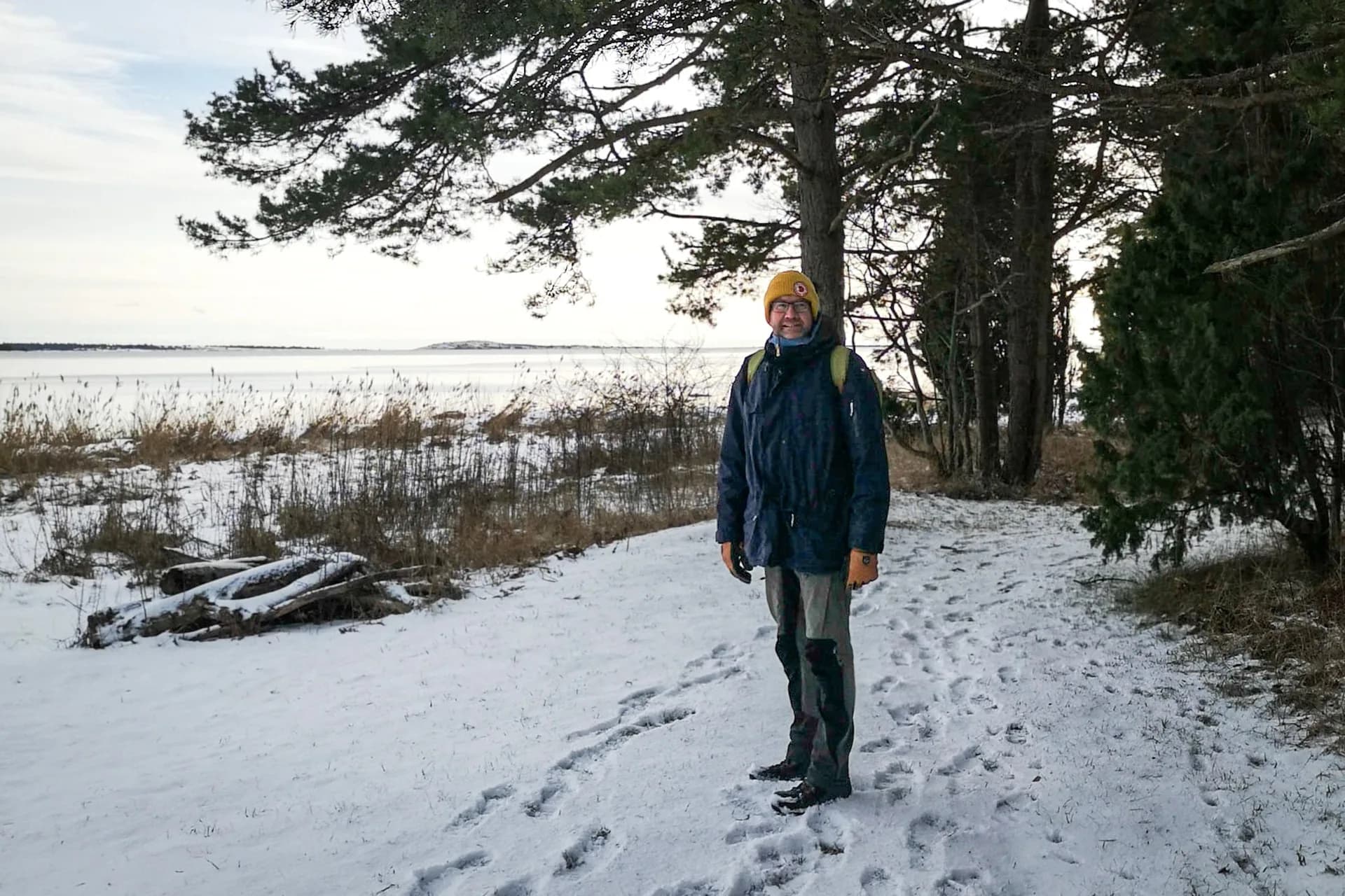 wp-16782086666595723727571193887449