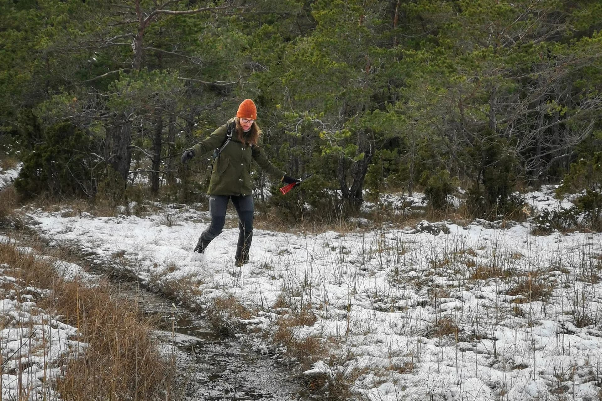 wp-16782938840477539650596008749697