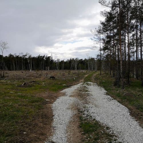 1-IMG_20200517_153217