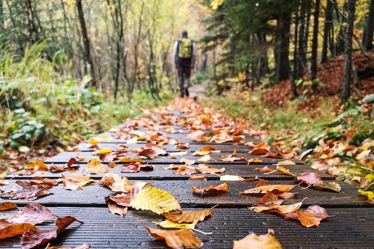 wp-16785402092608718979971965985888