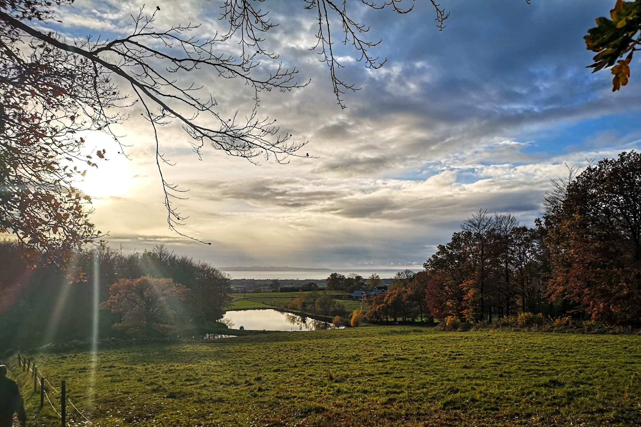 wp-16785402096865134849461007077528