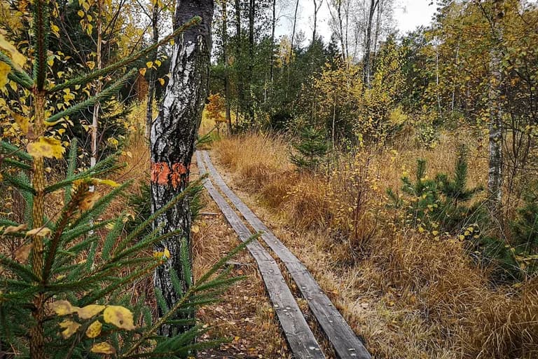 wp-16785402090006320724790633199969