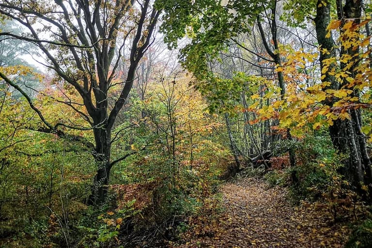 wp-16785402094391666186181627166638