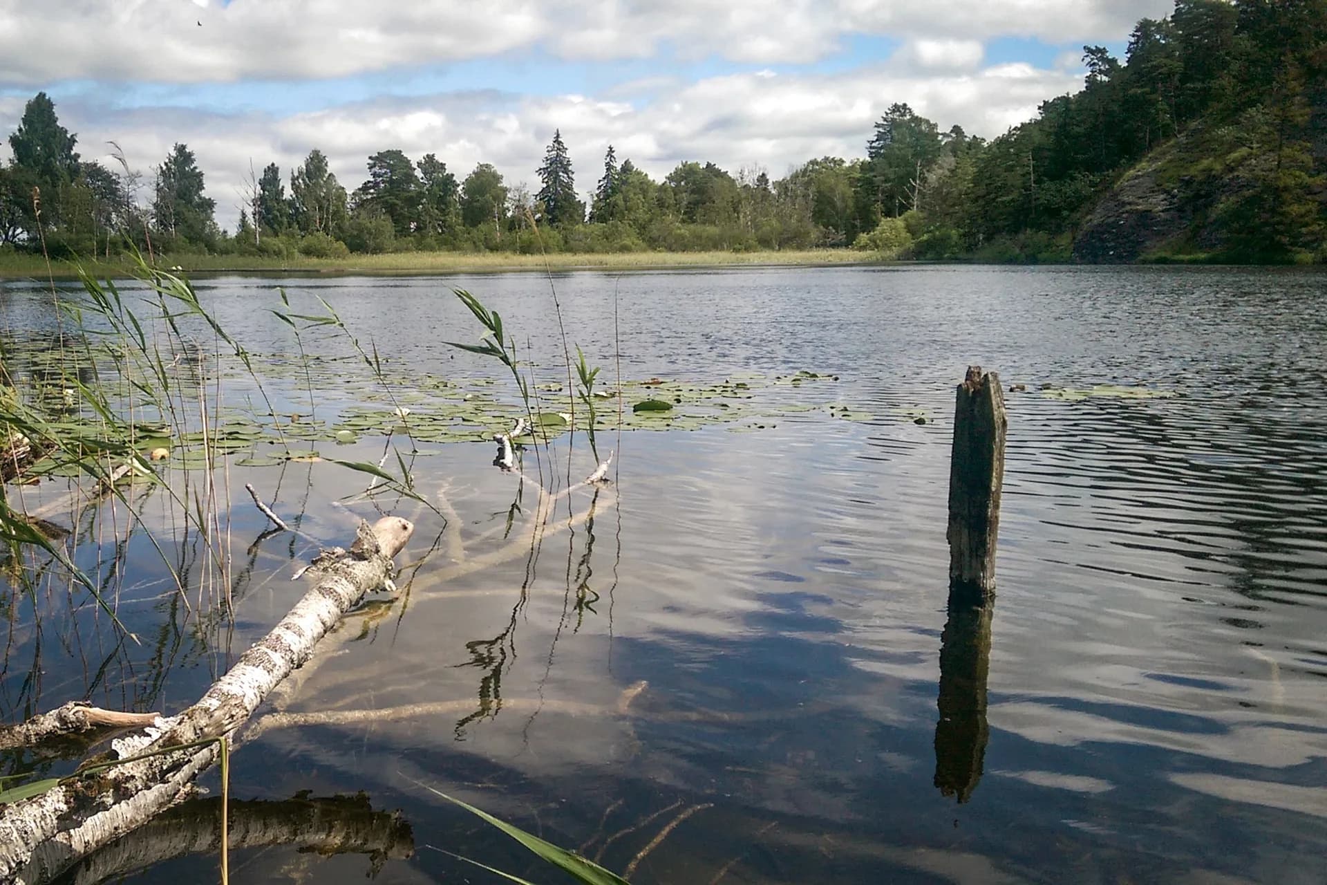 wp-16785594663856695099901945866209