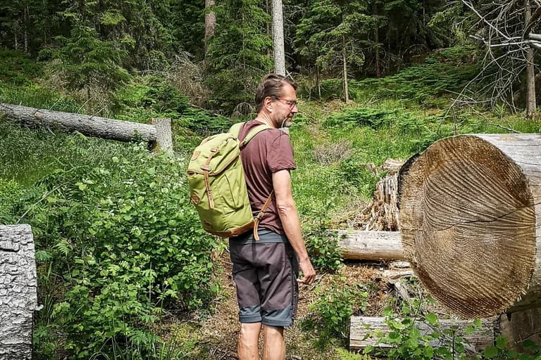 wp-16787919222575253174636422754989