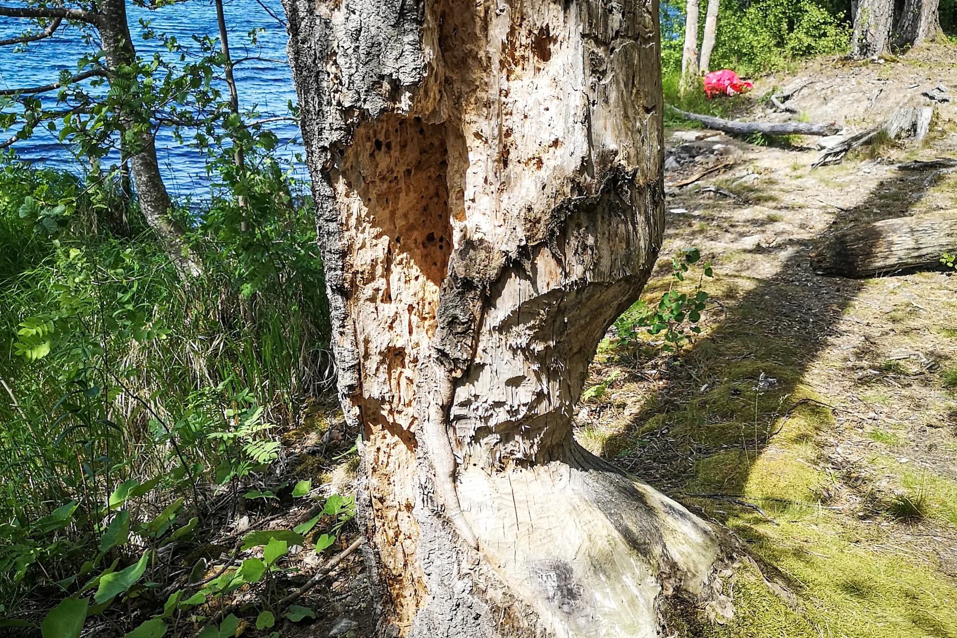 wp-16787972989834694320870503153031