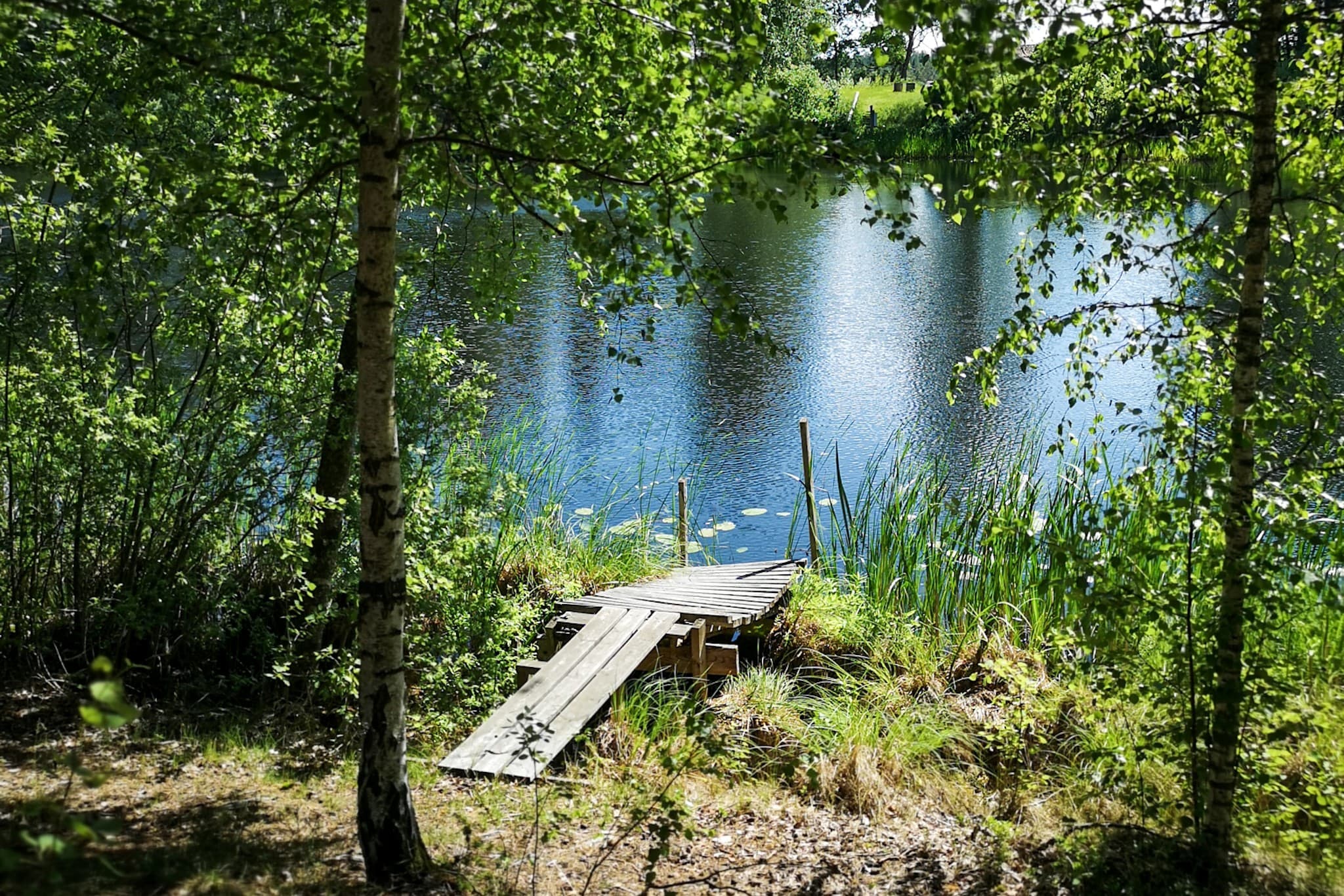 wp-1678801210843441935359555543316