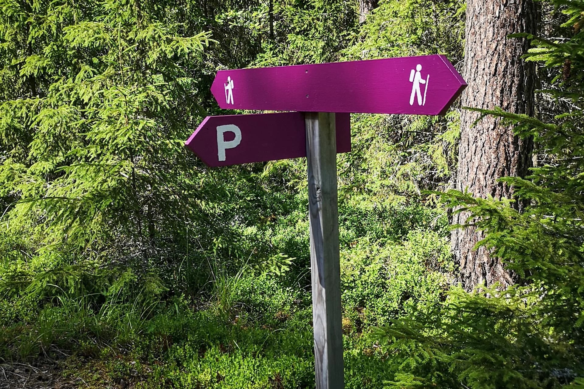 wp-16788012104503631827021816722876