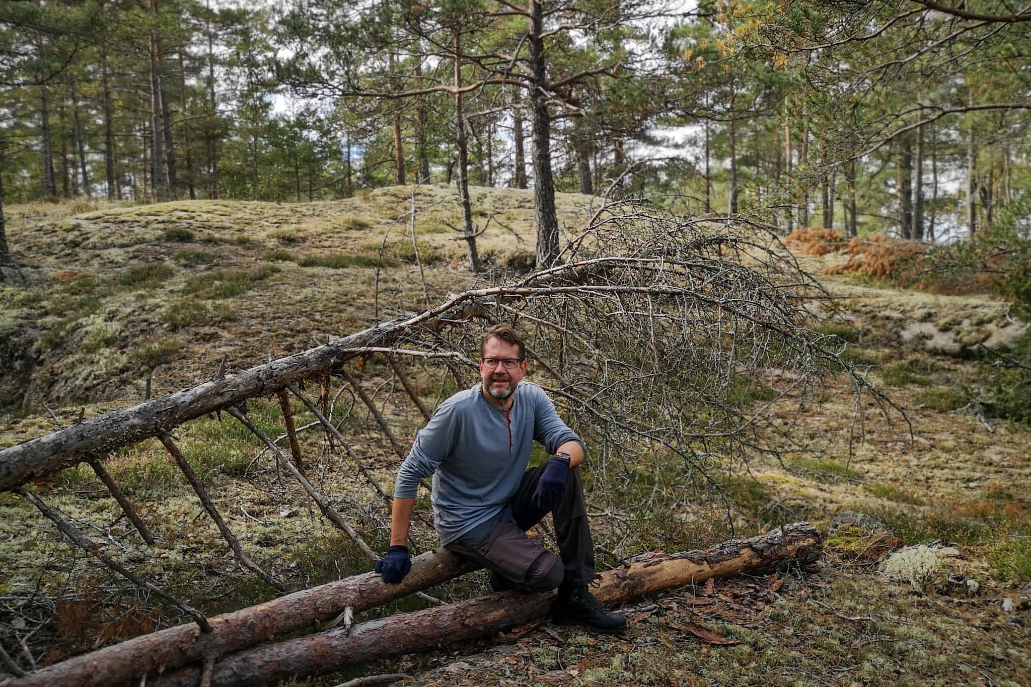 wp-1678810037788484392166999321487