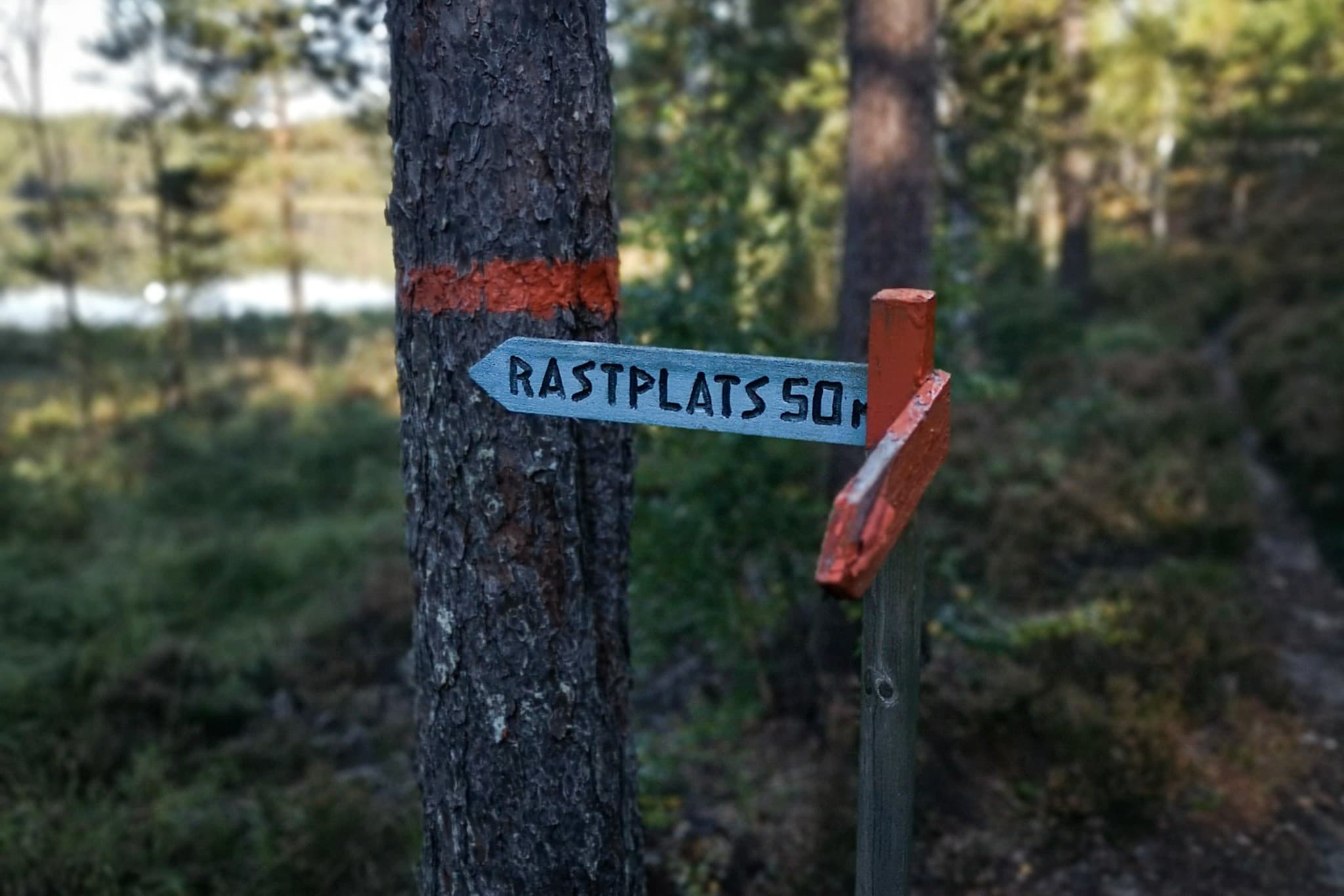 wp-16788189750003369900238537150104