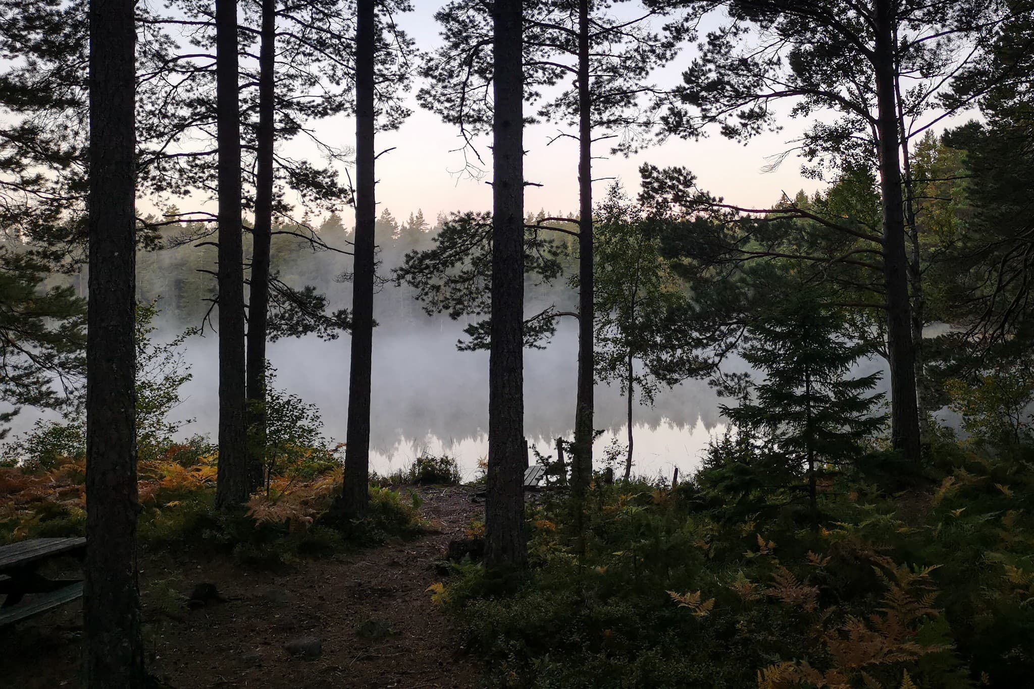 wp-1678819654845490978012079830638