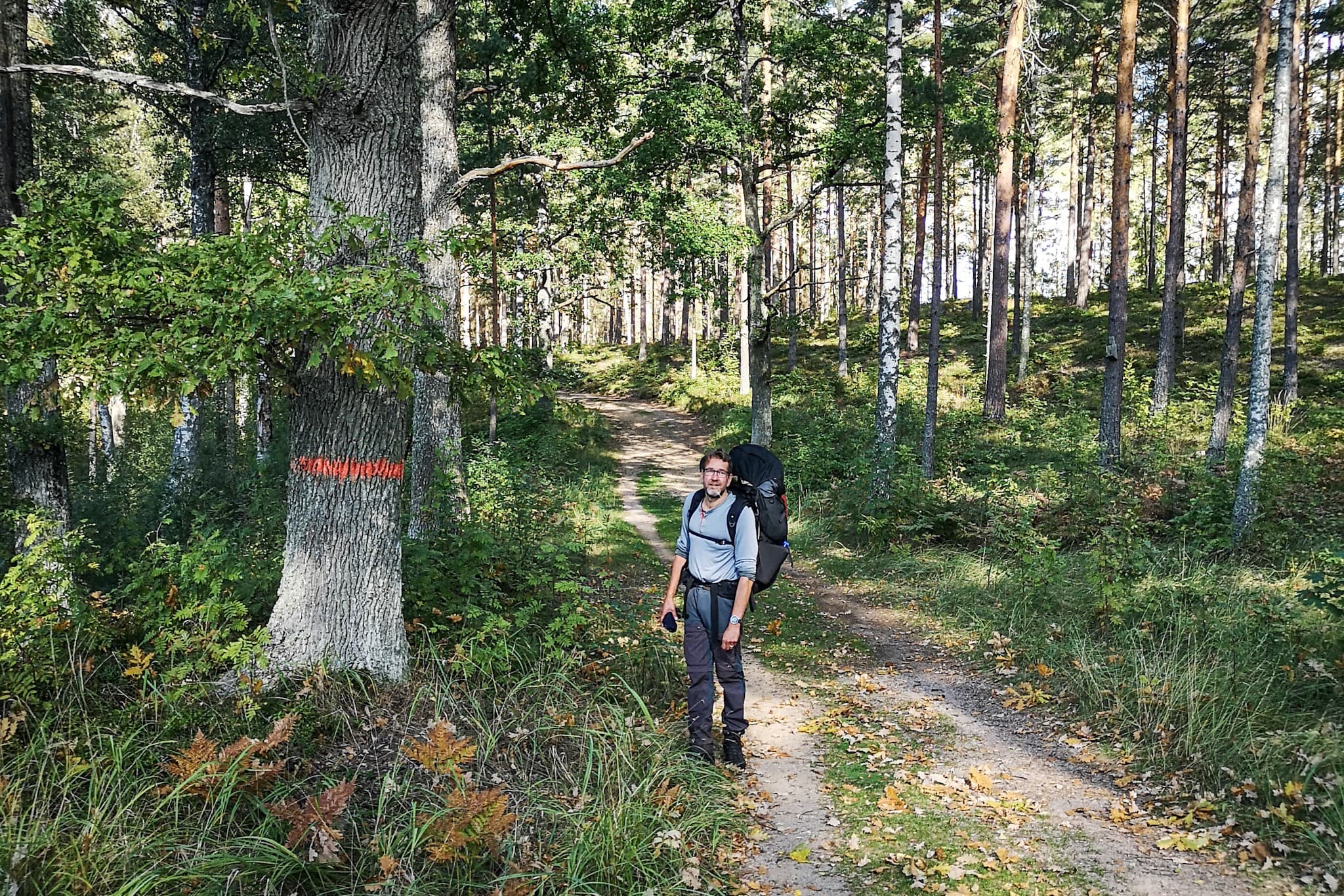 wp-16788206179742905208464819672427