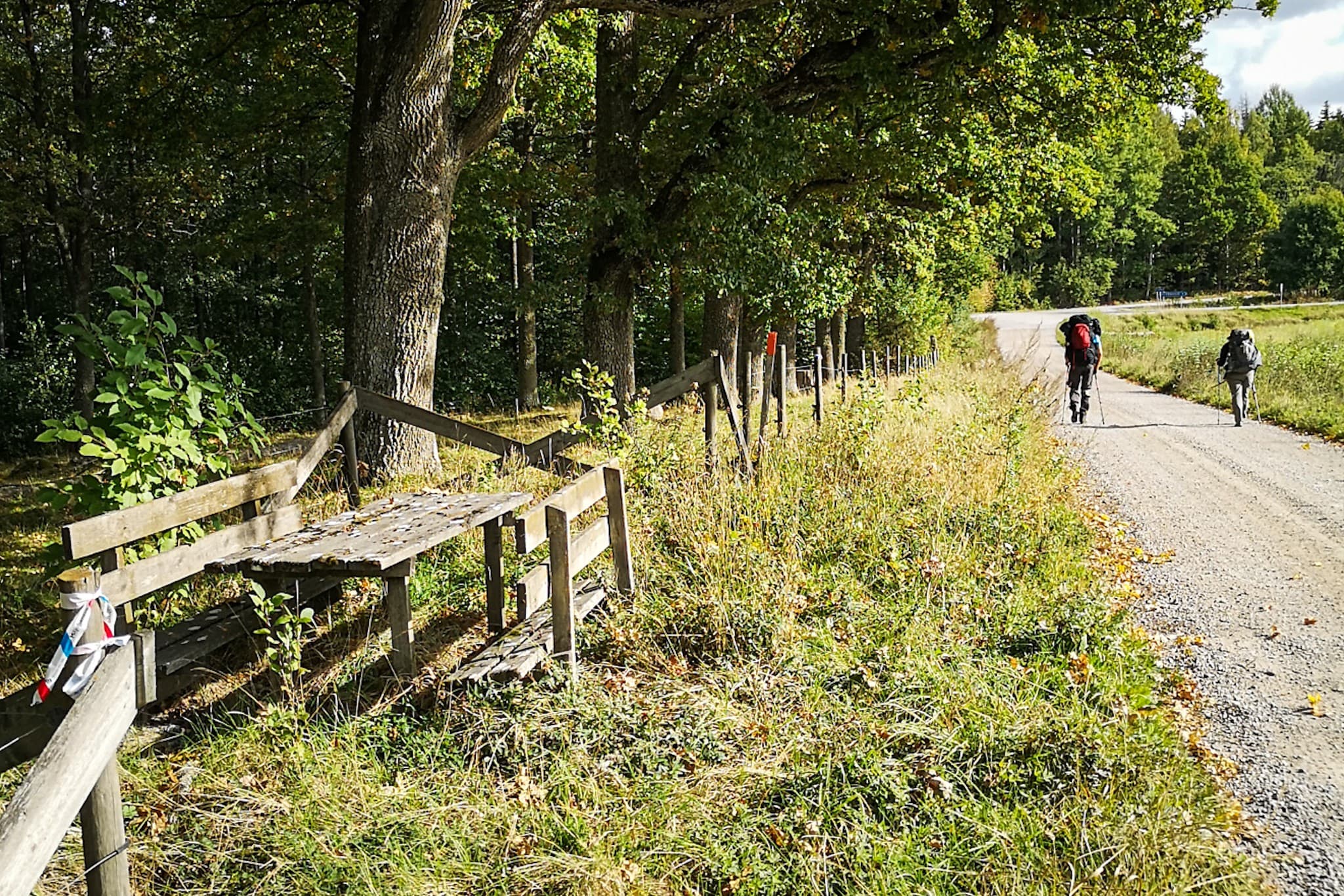 wp-16788856363046556778695832878513