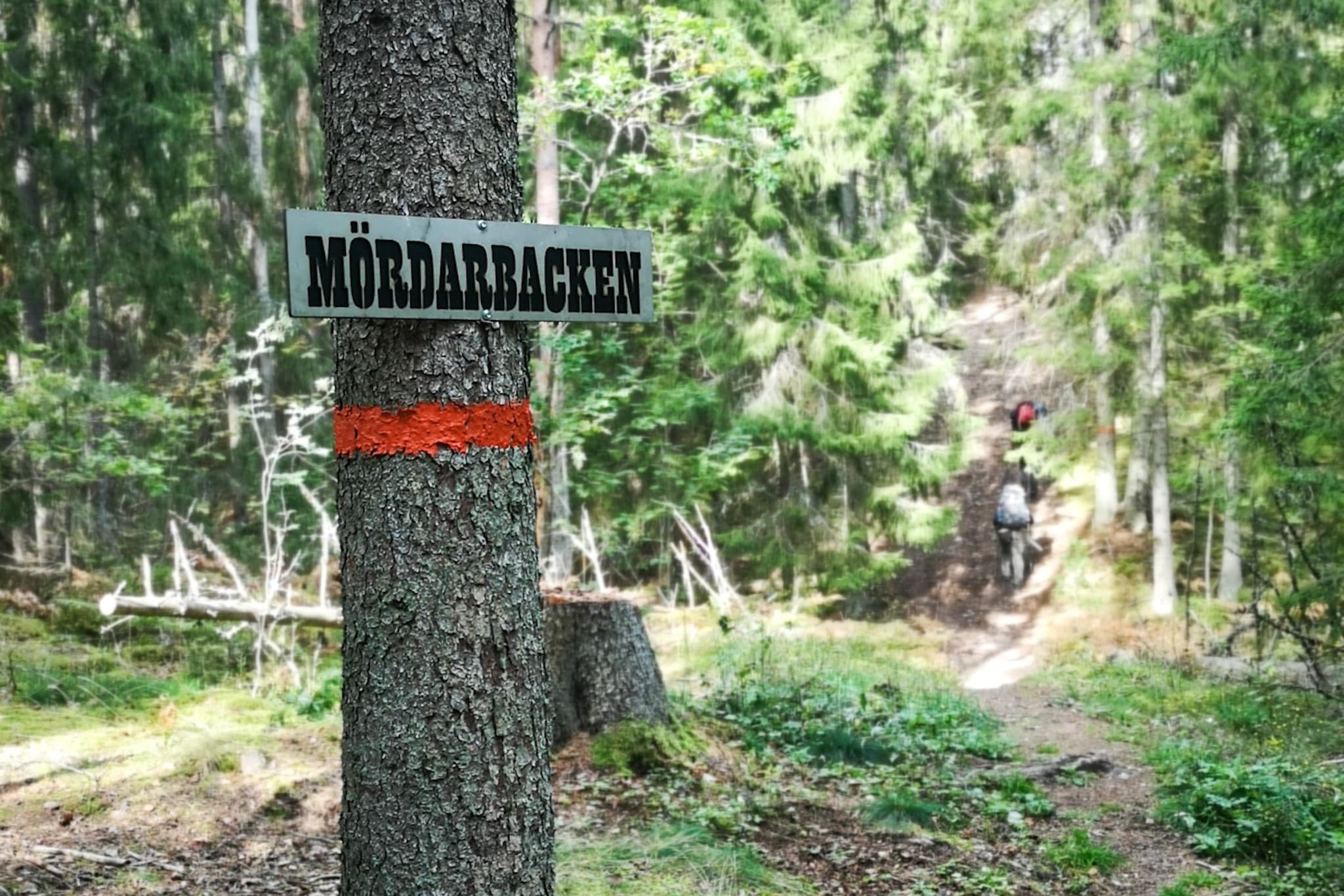 wp-16788856359596297922098675595301