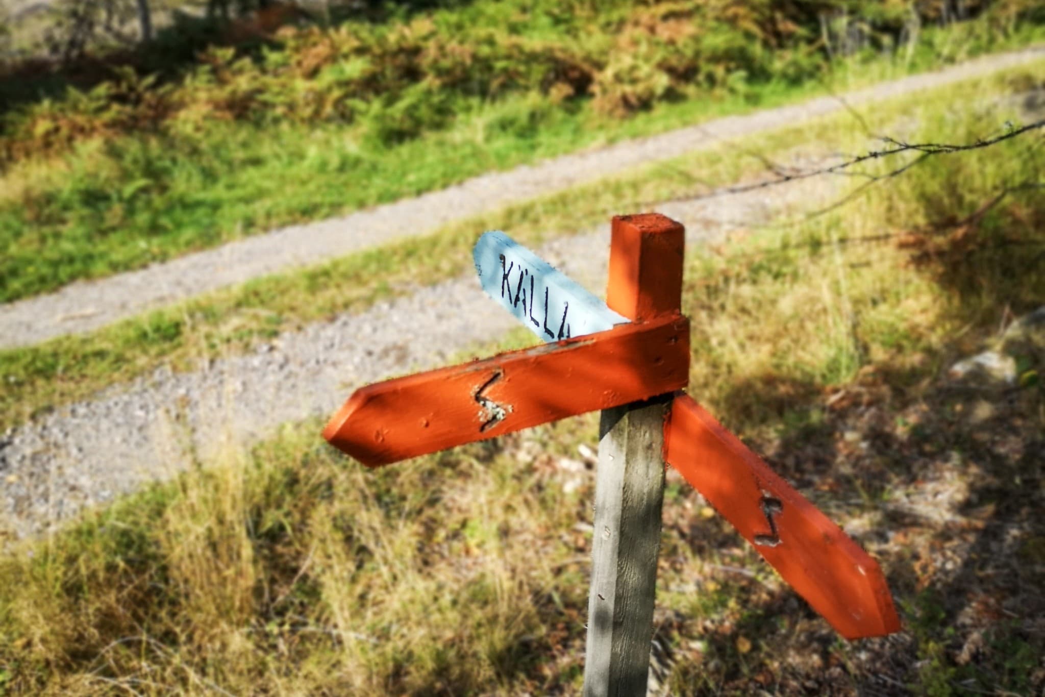 wp-16788861830121993901847401967984