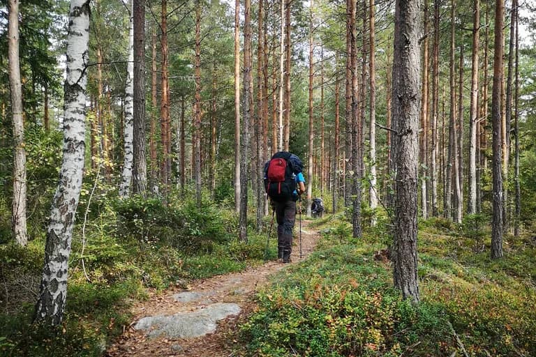 wp-16788959353426961916959756001004