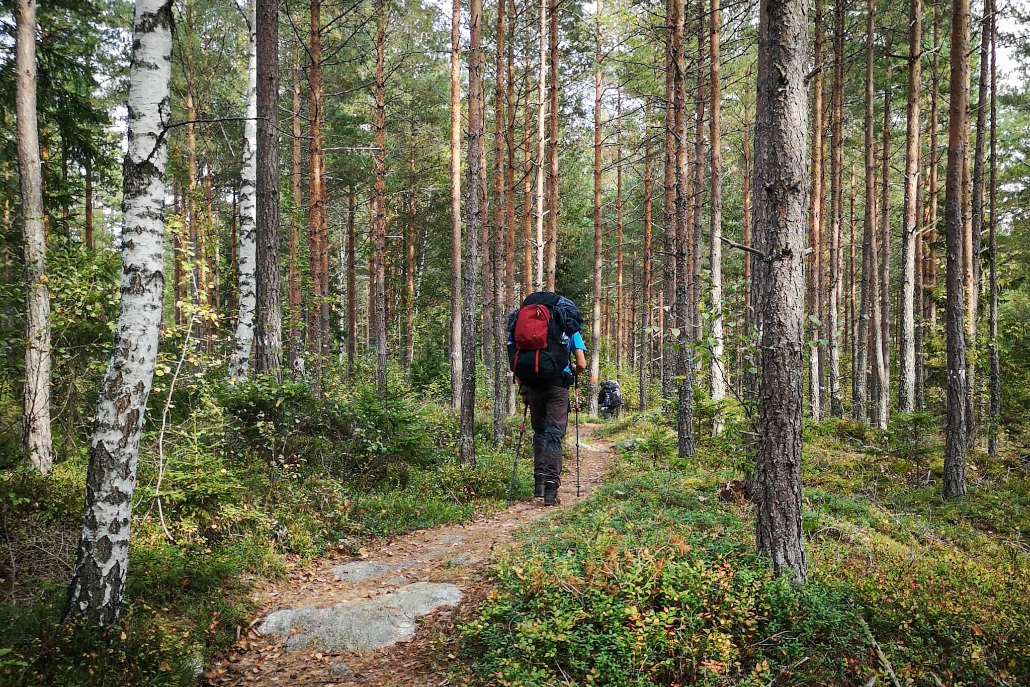 wp-16788959353426961916959756001004