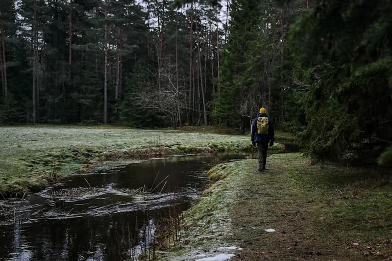 wp-16789066740146906749222300413345