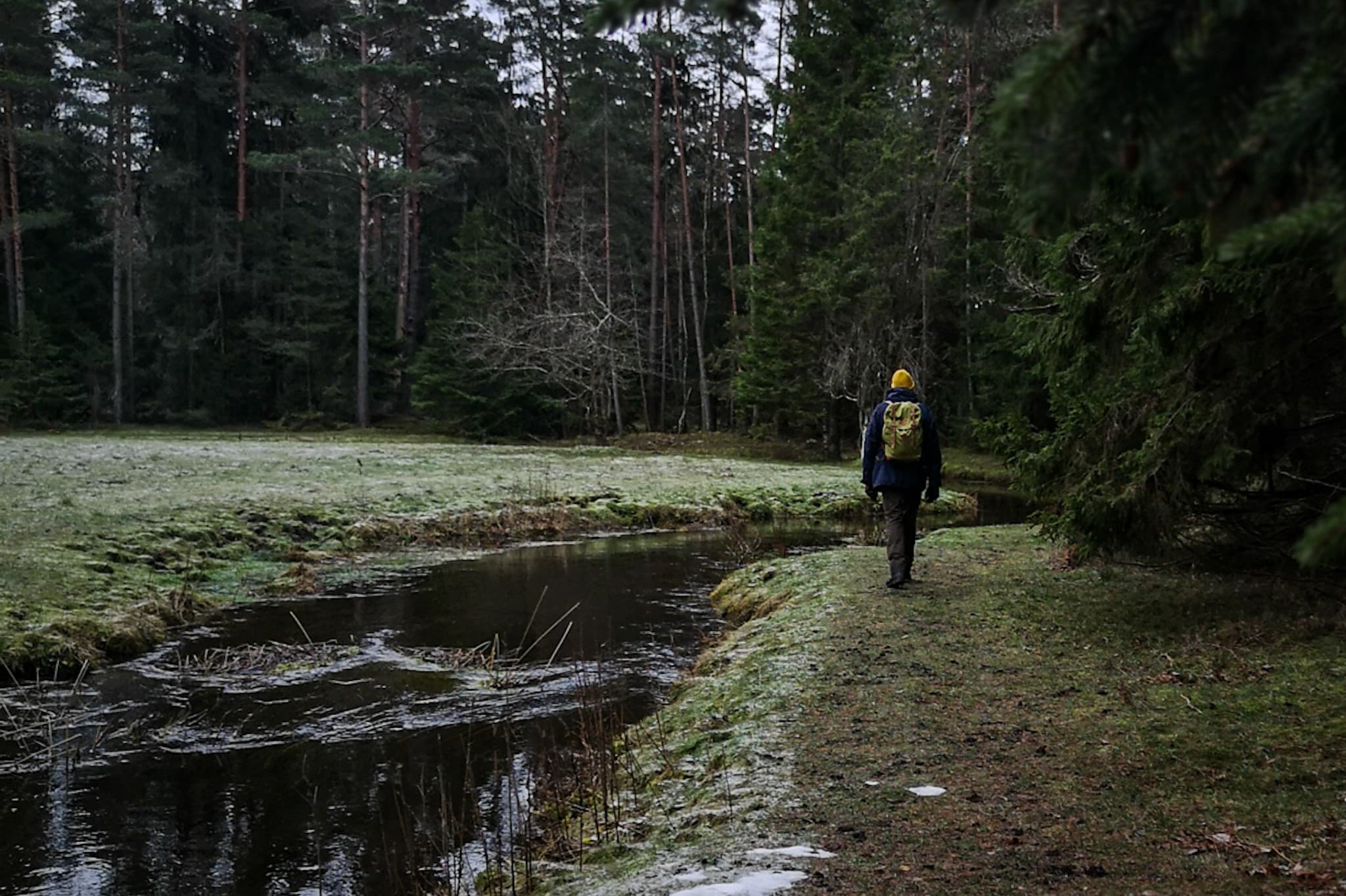 wp-16789066740146906749222300413345