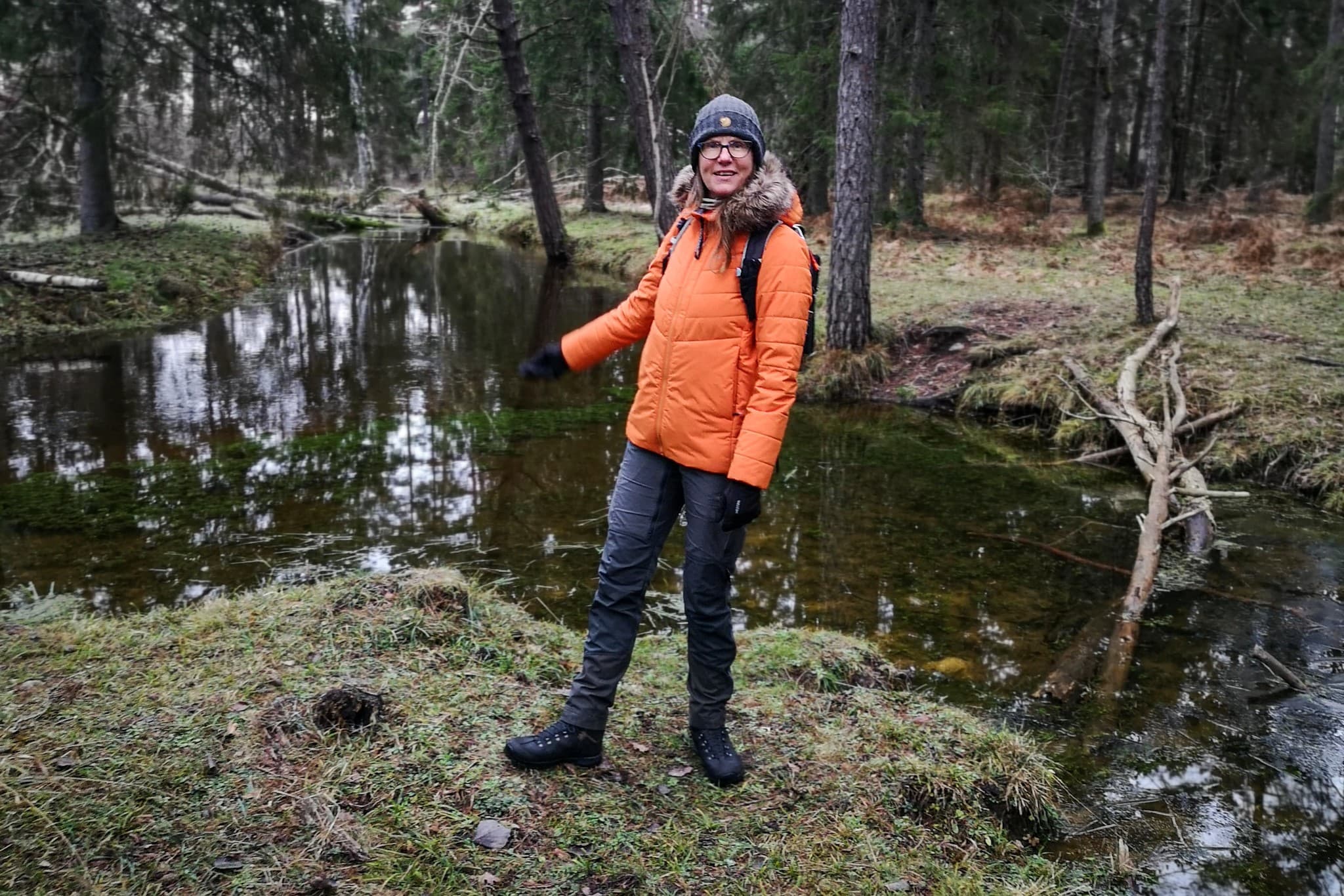 wp-16789916051003200447824794665474