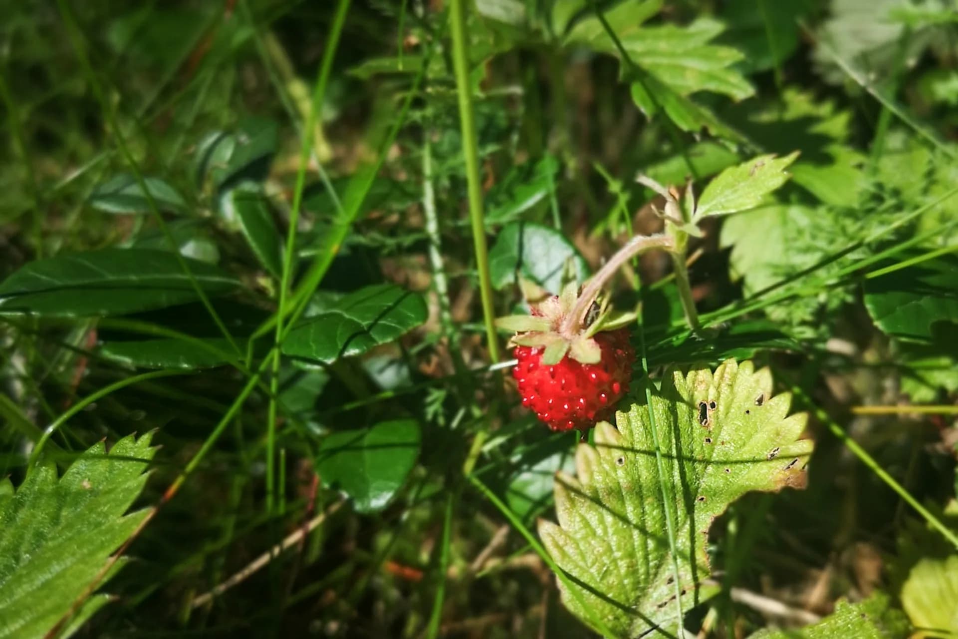 wp-16790029588368790183188310400021