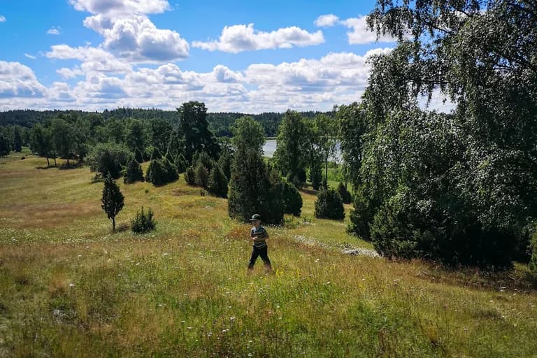 wp-16790029586022610615459839350952