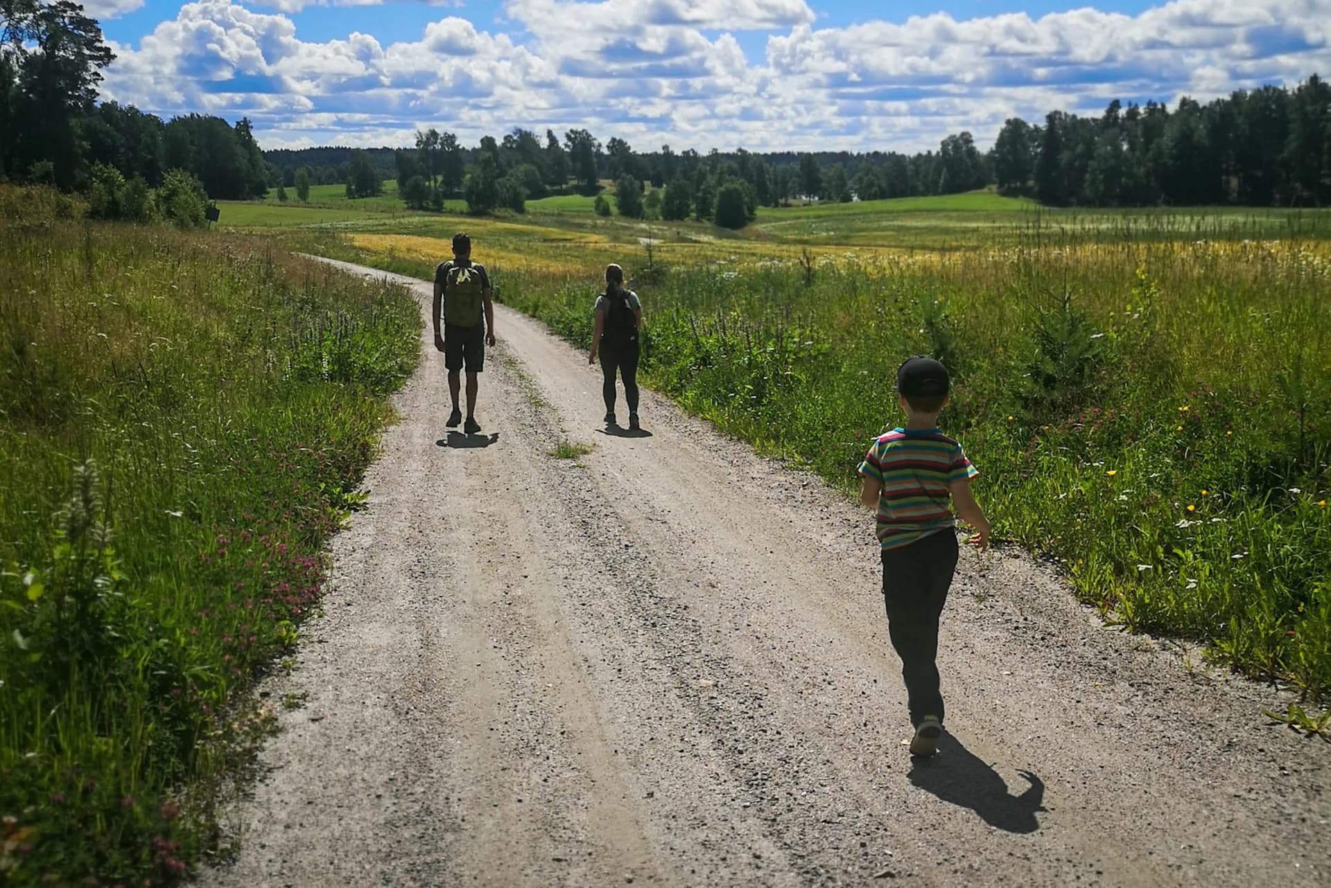 wp-16790029582198181784203727987765