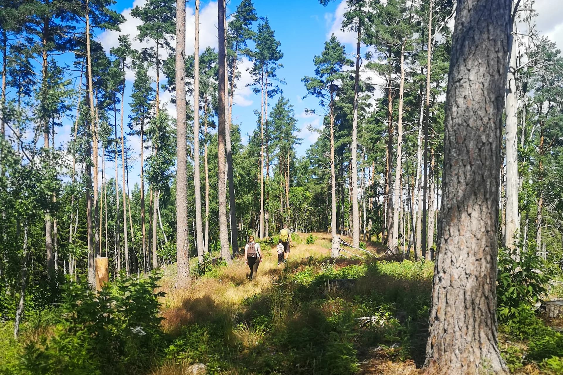 wp-16790029591778281535818292045265