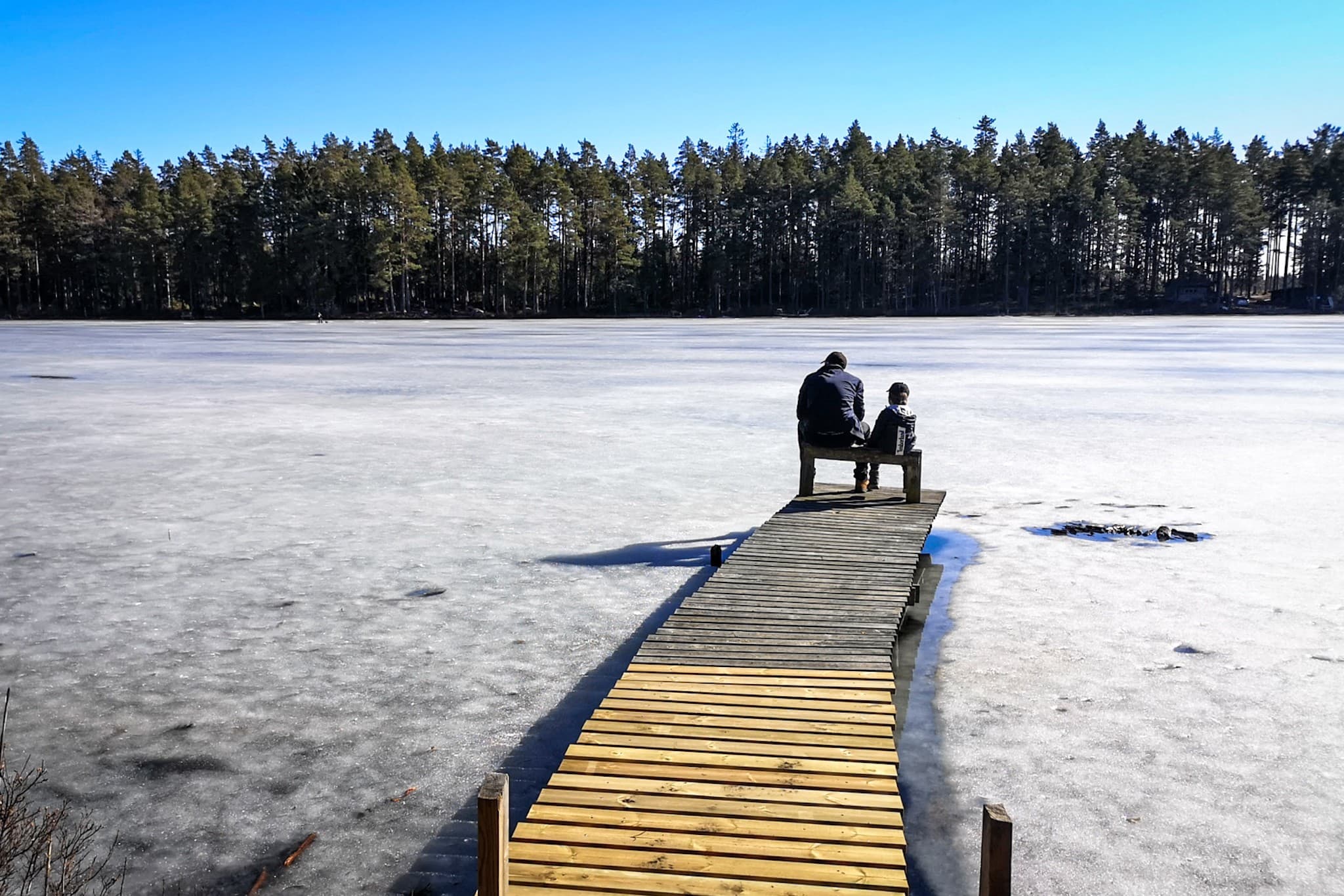 wp-16790745770693527341482384068576