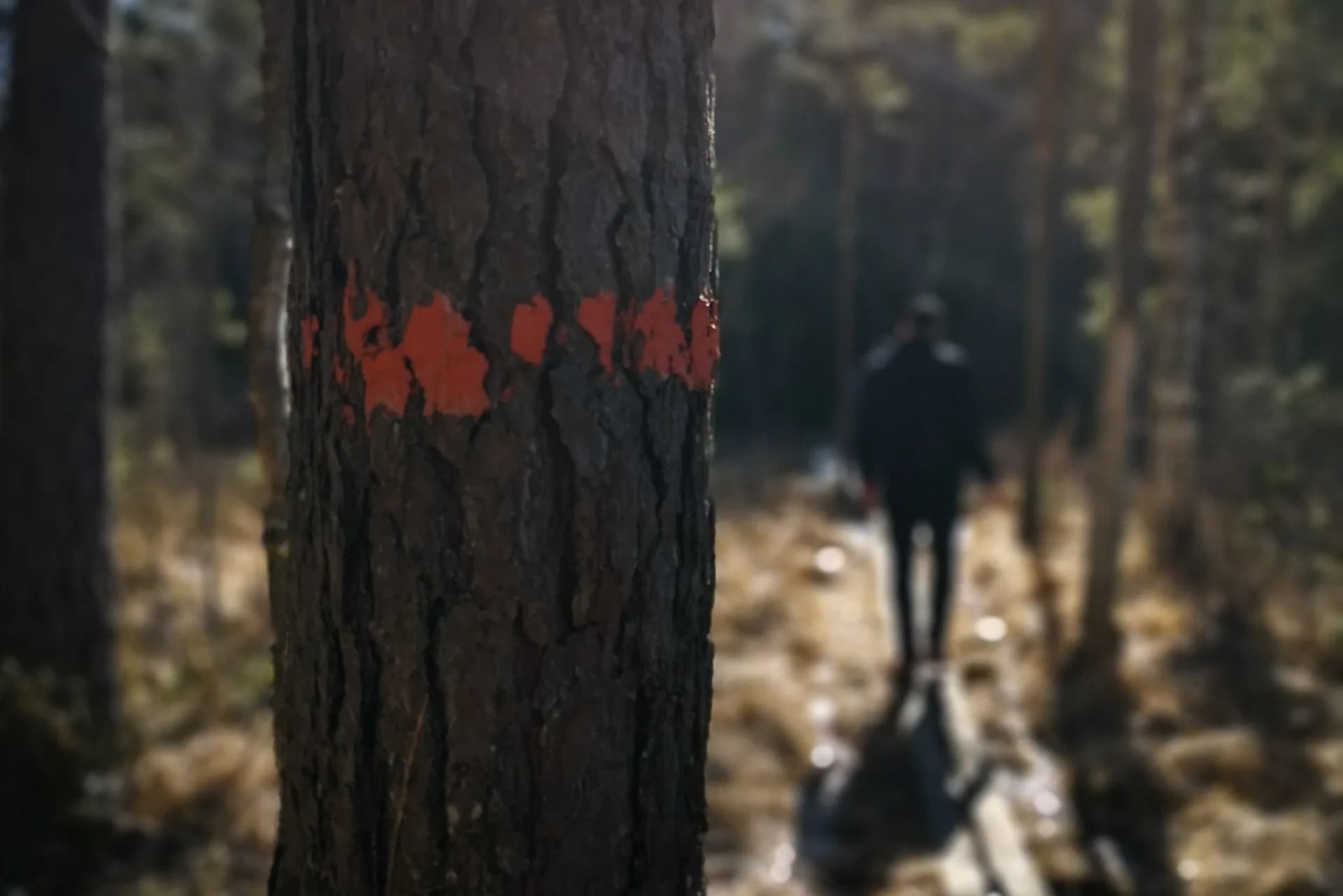 wp-16790745769128782170752660765411