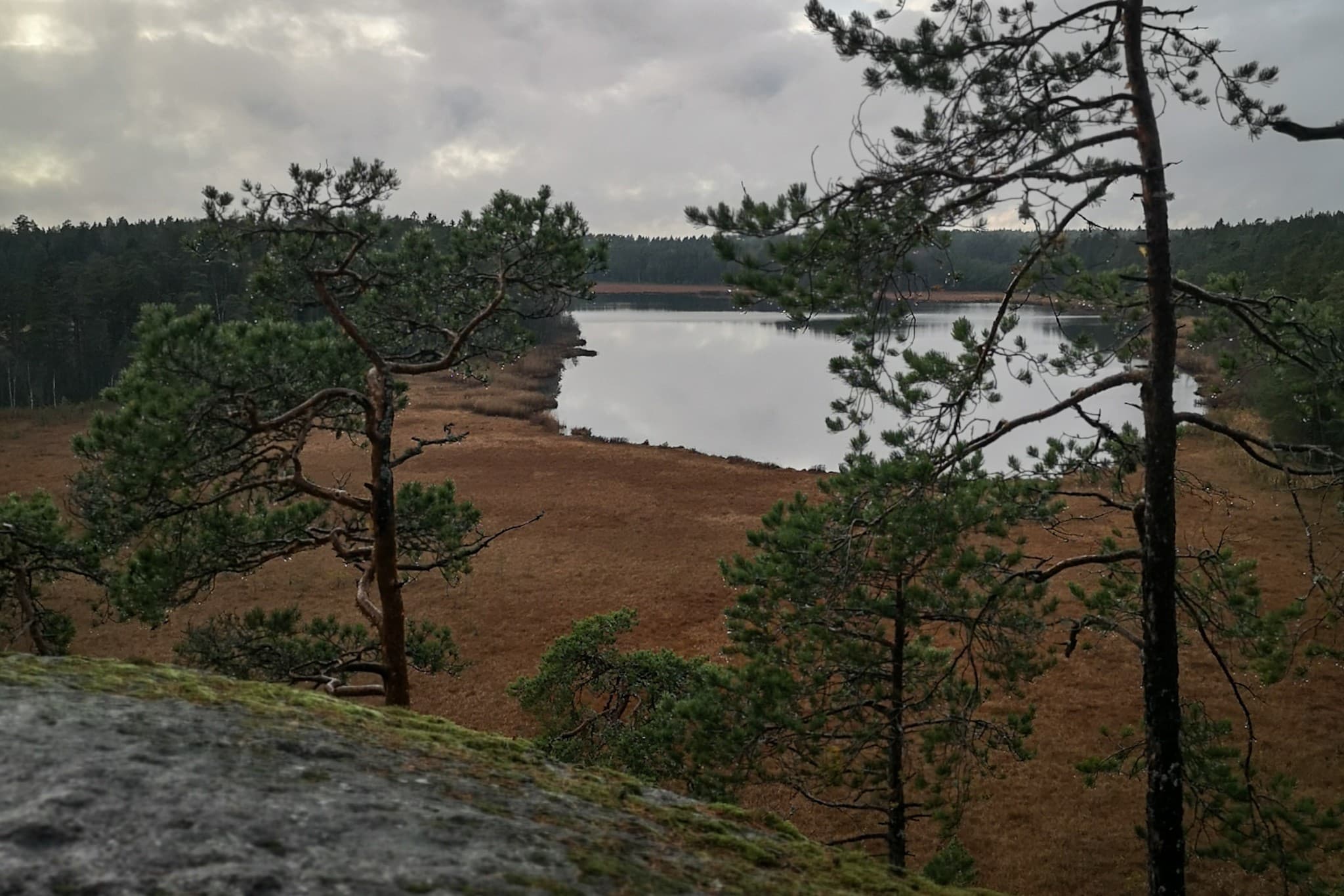 wp-1679386970622812516712677943303