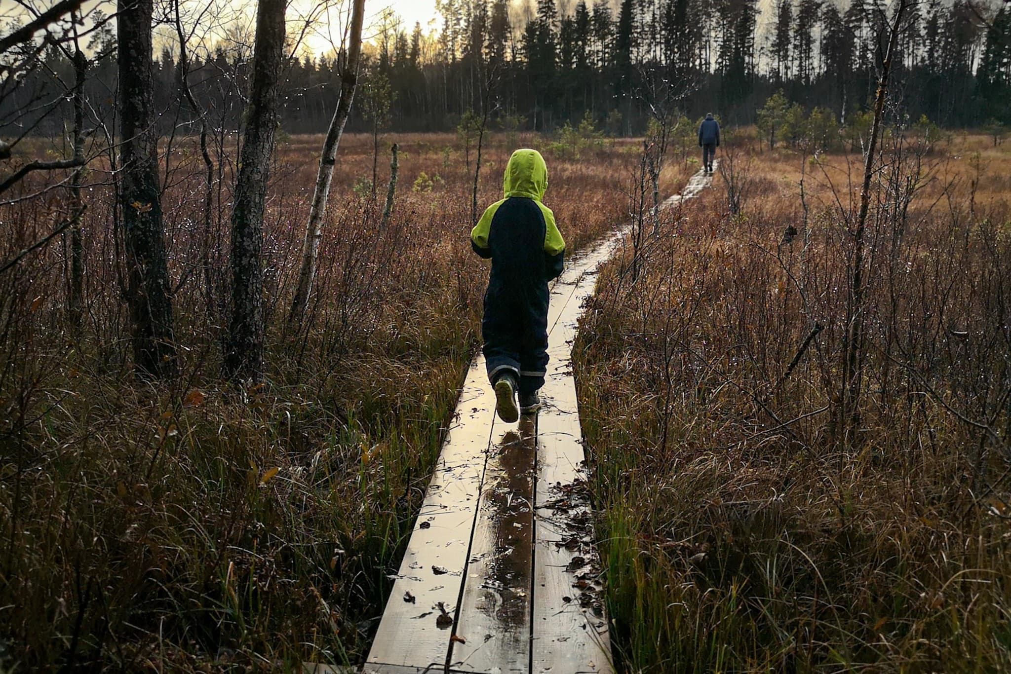 wp-16793869707814325690516112169076