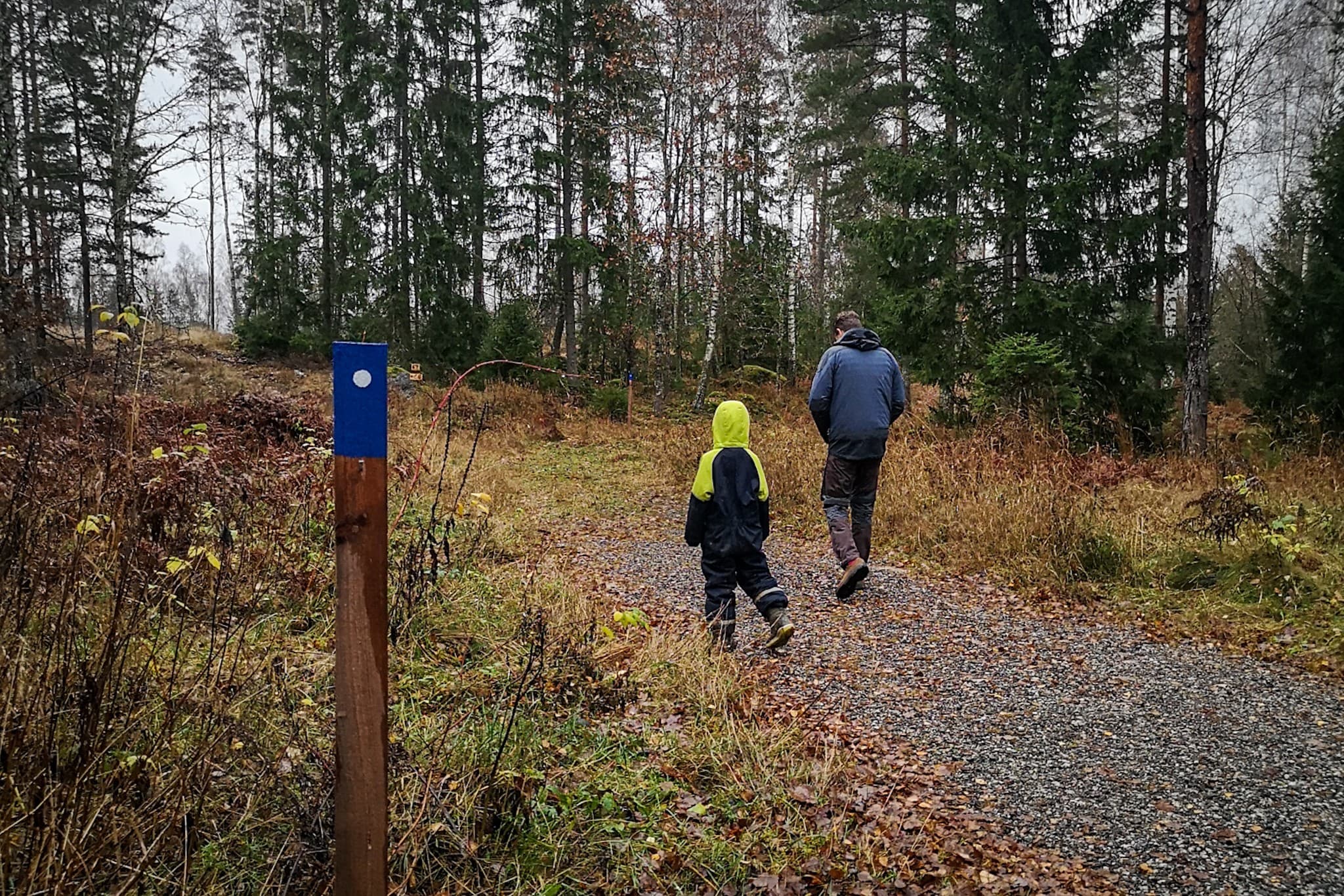 wp-16793869702305916609614550231251