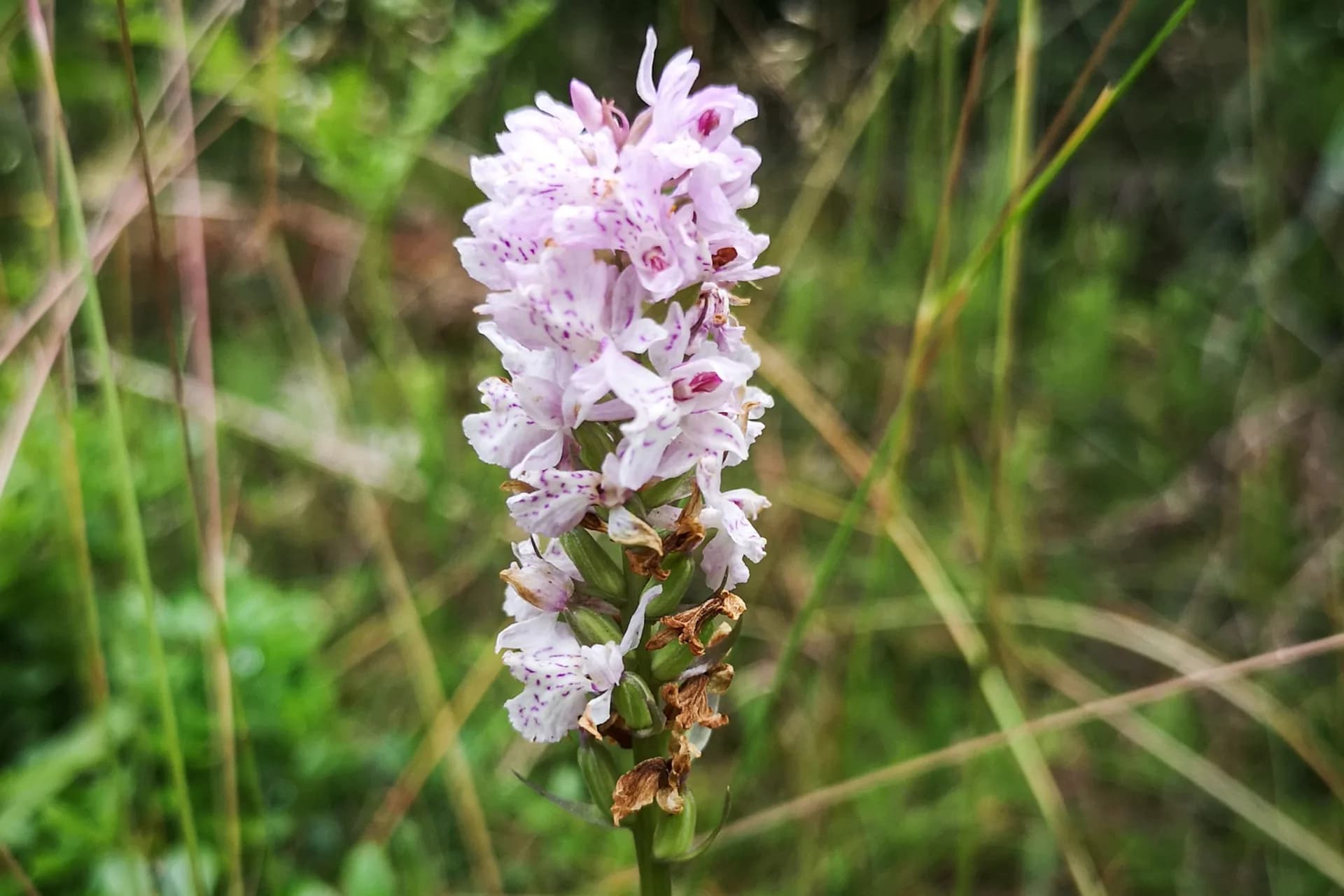 wp-16793885178738819476009450279721