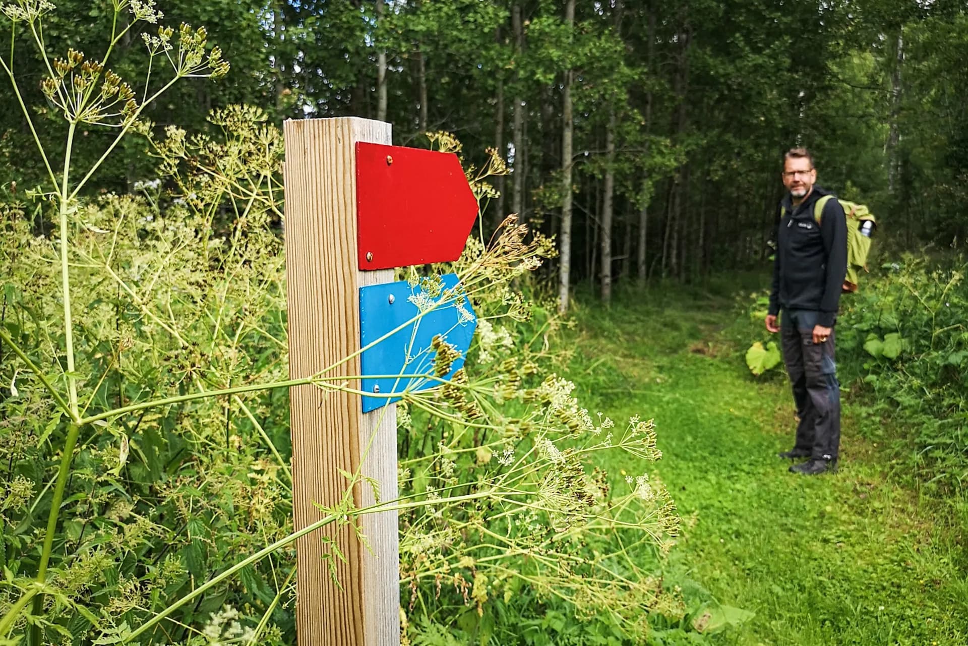 wp-16793885169597609176079535316096