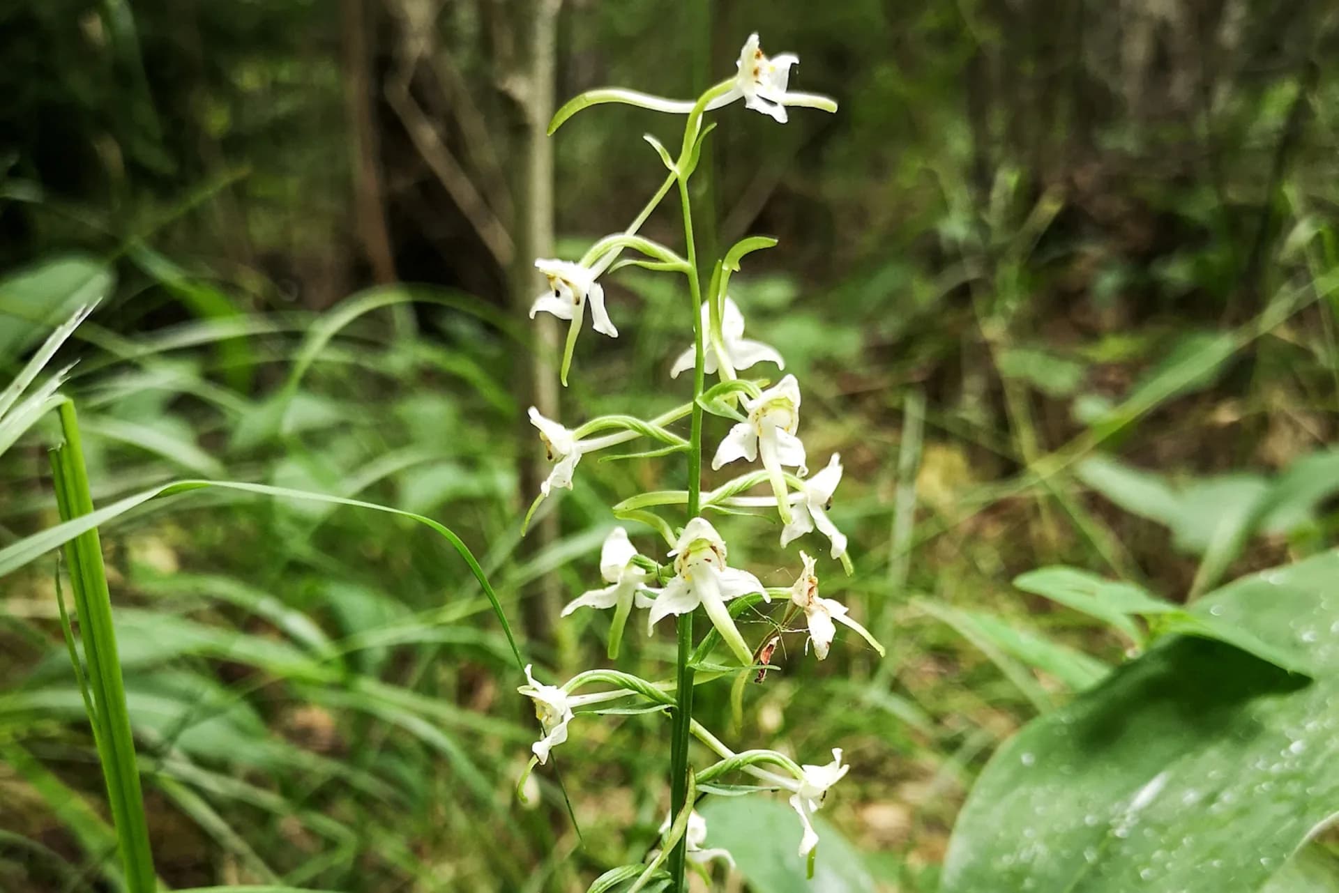 wp-16793885173733979597896837068541