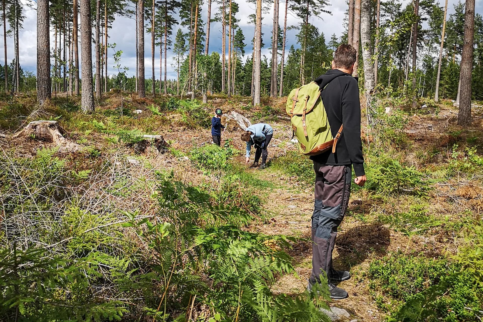 wp-16793885171514278202032723732434