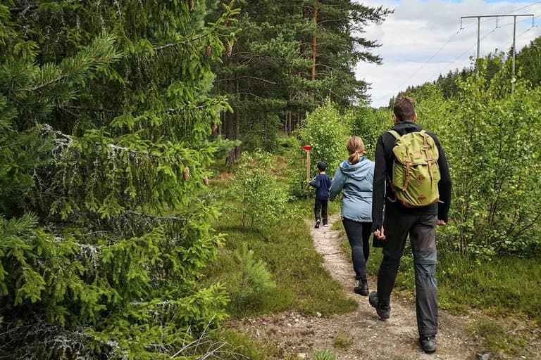 wp-16793885176669058977442714973726