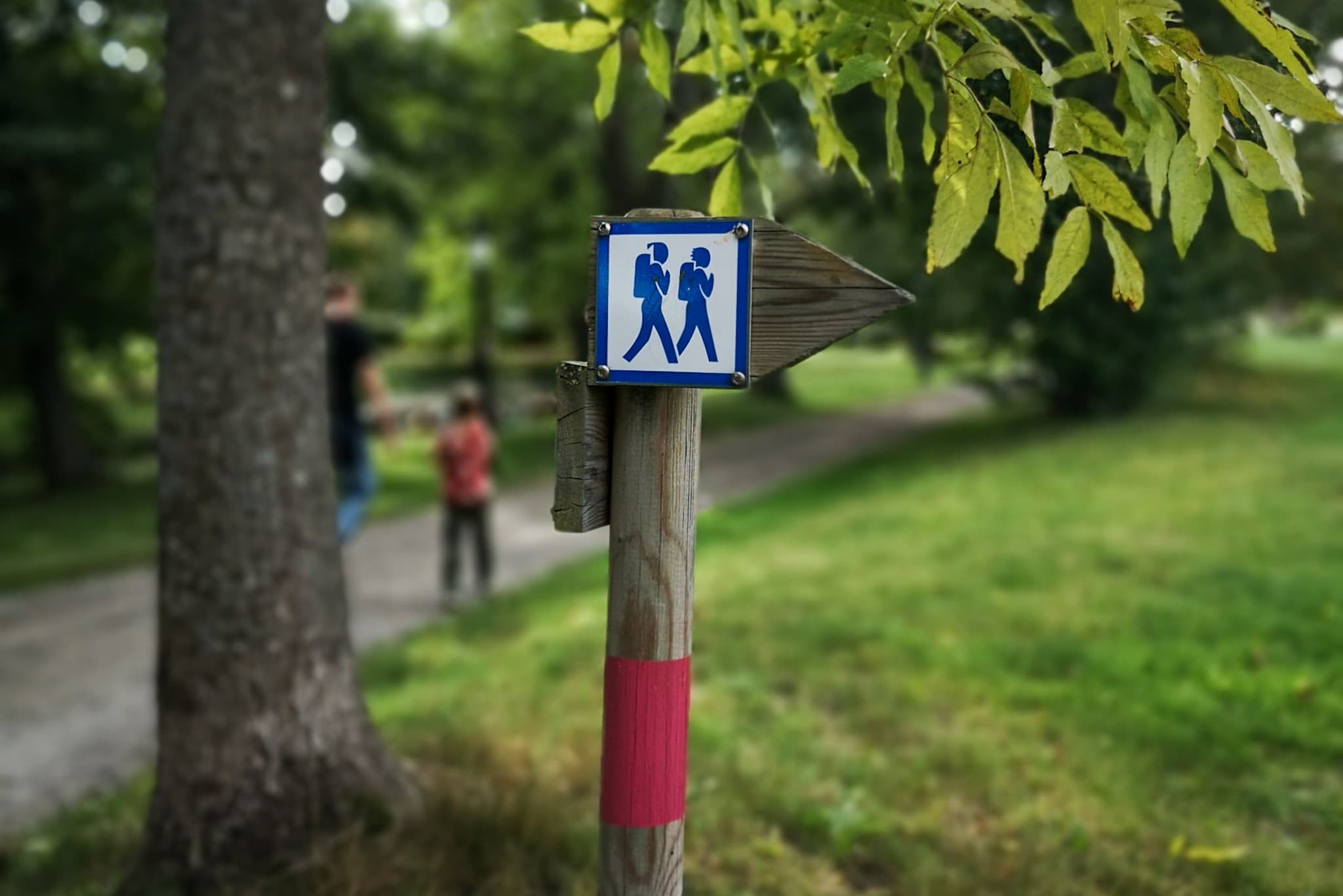 wp-1679389604087251007701085546893