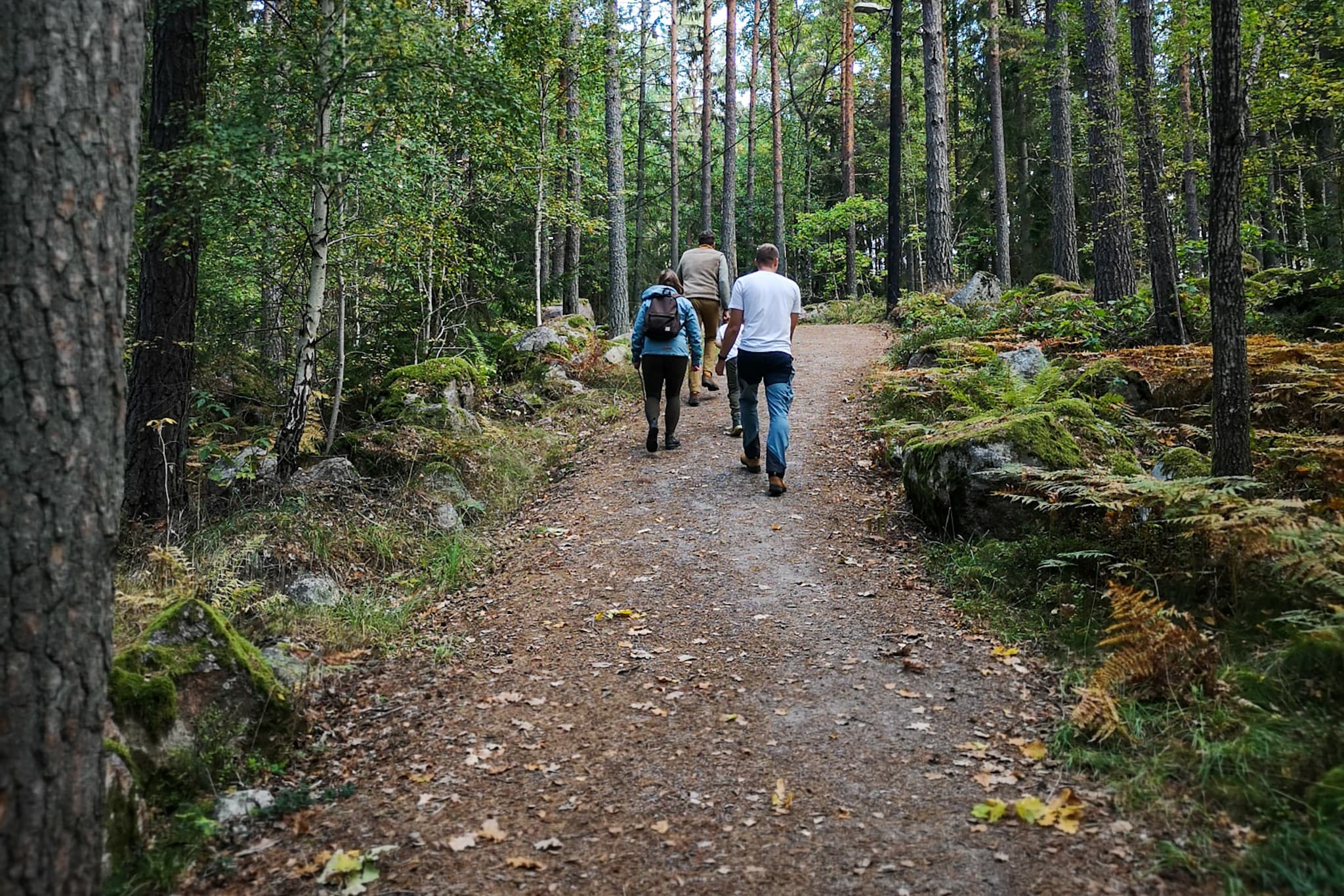 wp-16793896038881038784115028203286