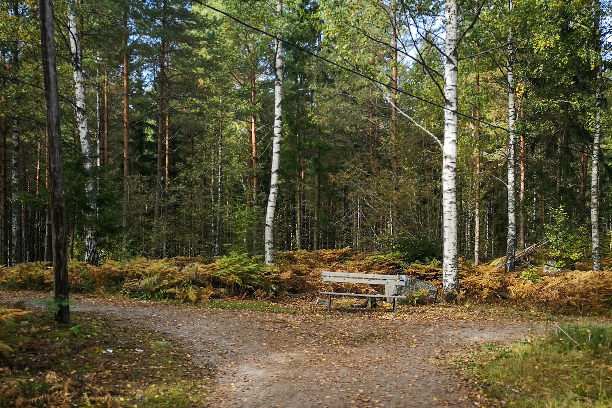 wp-16793896042074455061897097772709