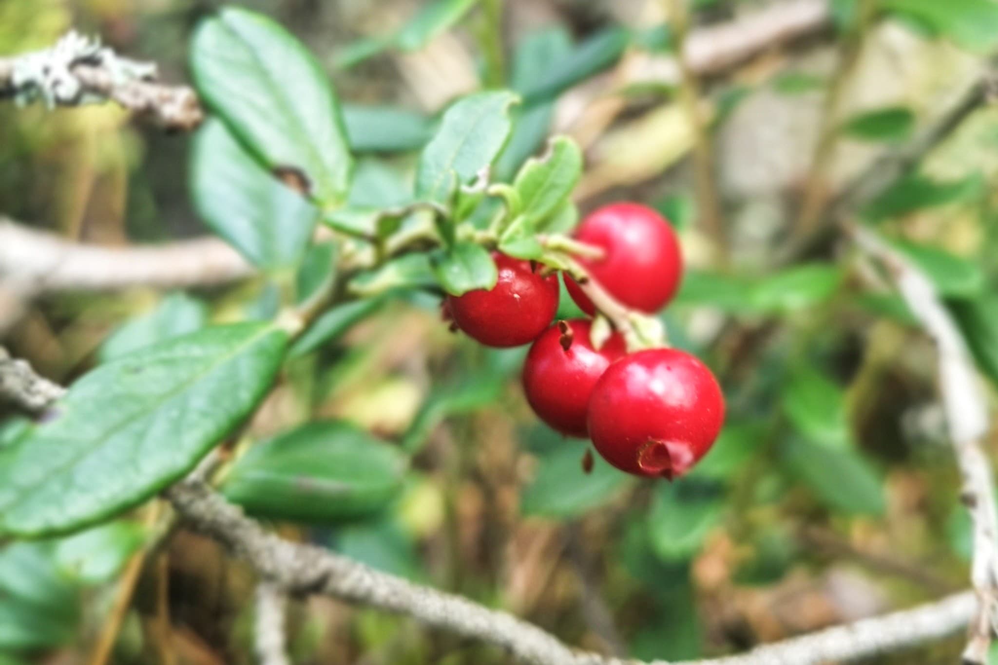 wp-16793896049281758888514745839191