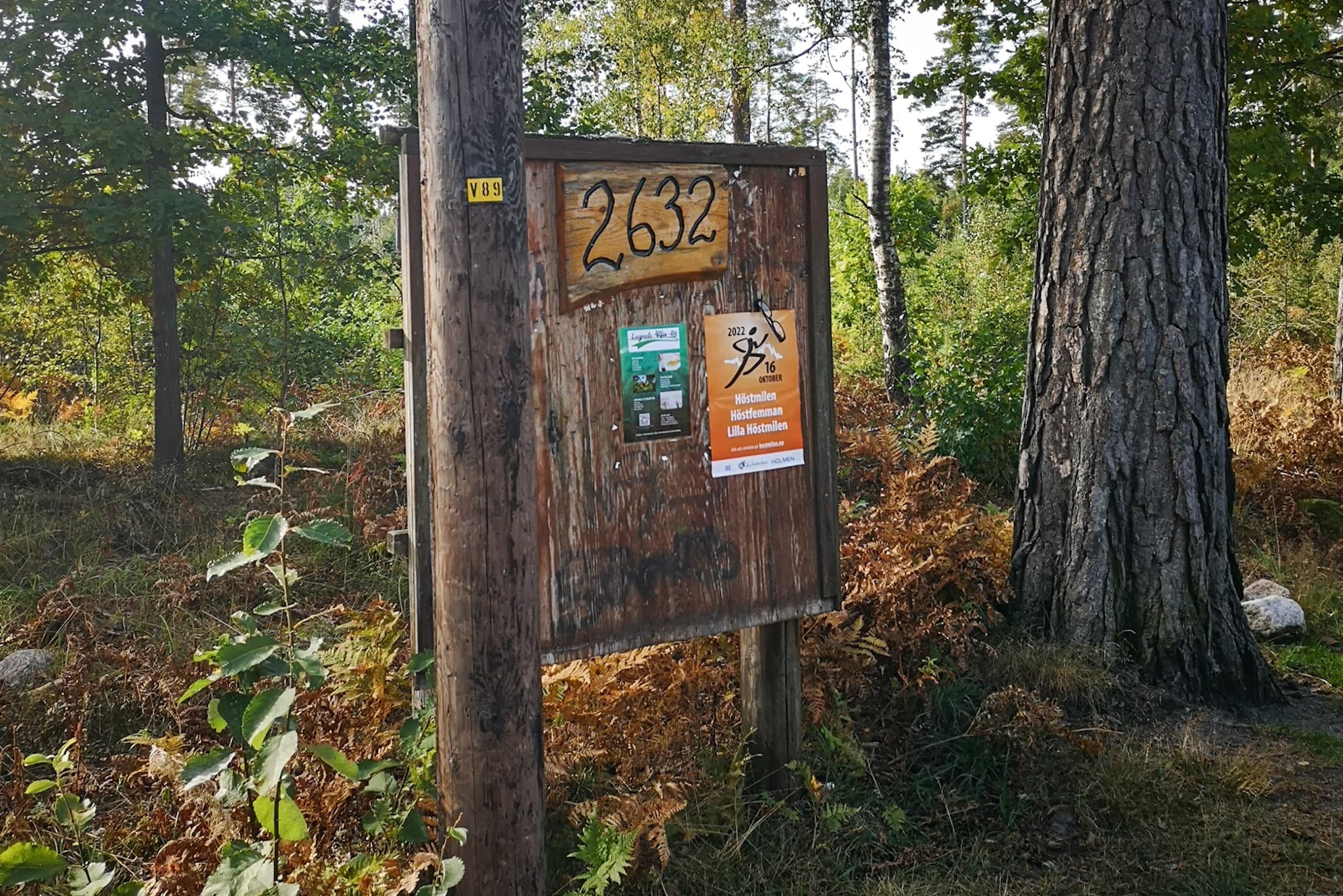 wp-16793896045411519955591900188046