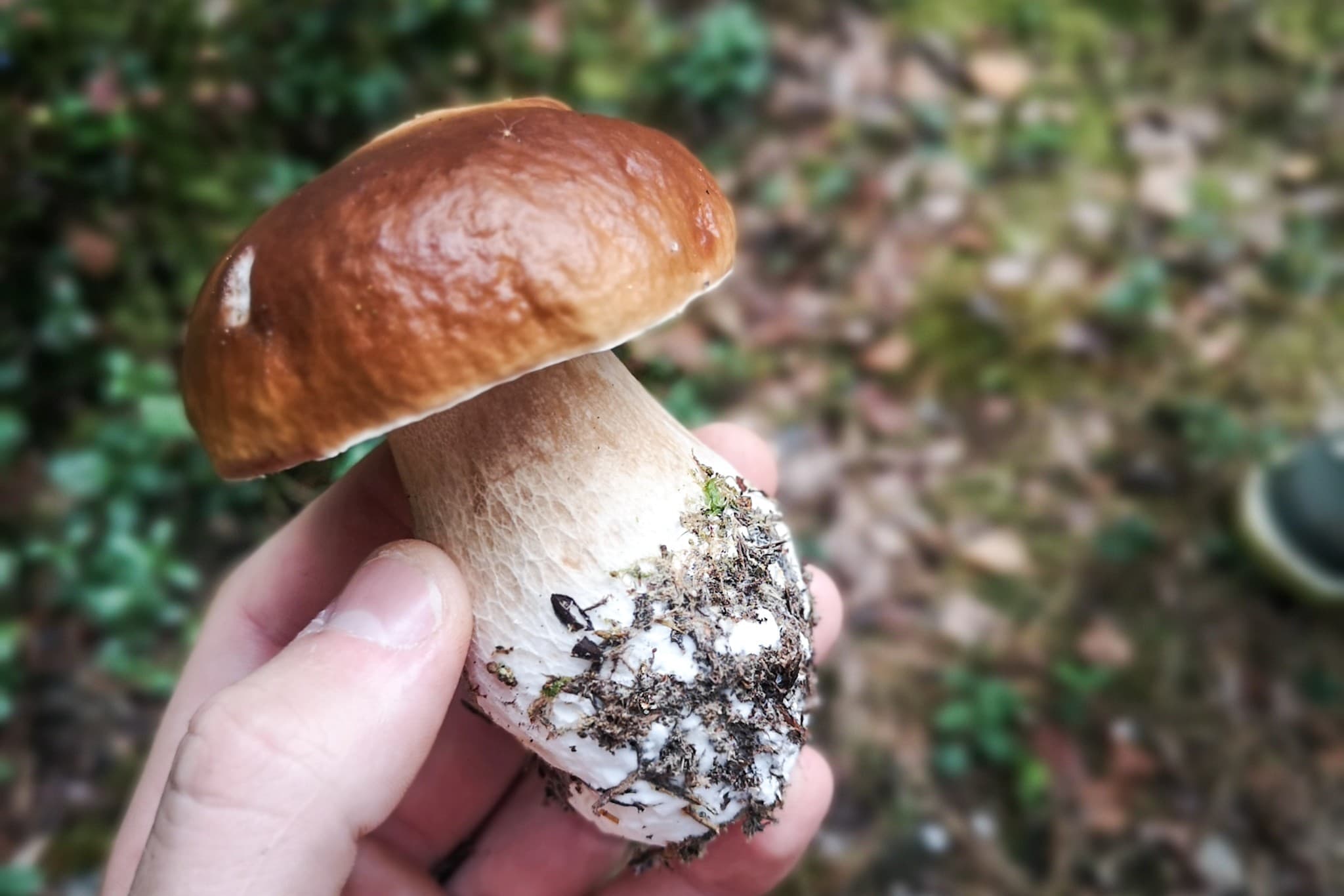 wp-16793896053197816101633574472815